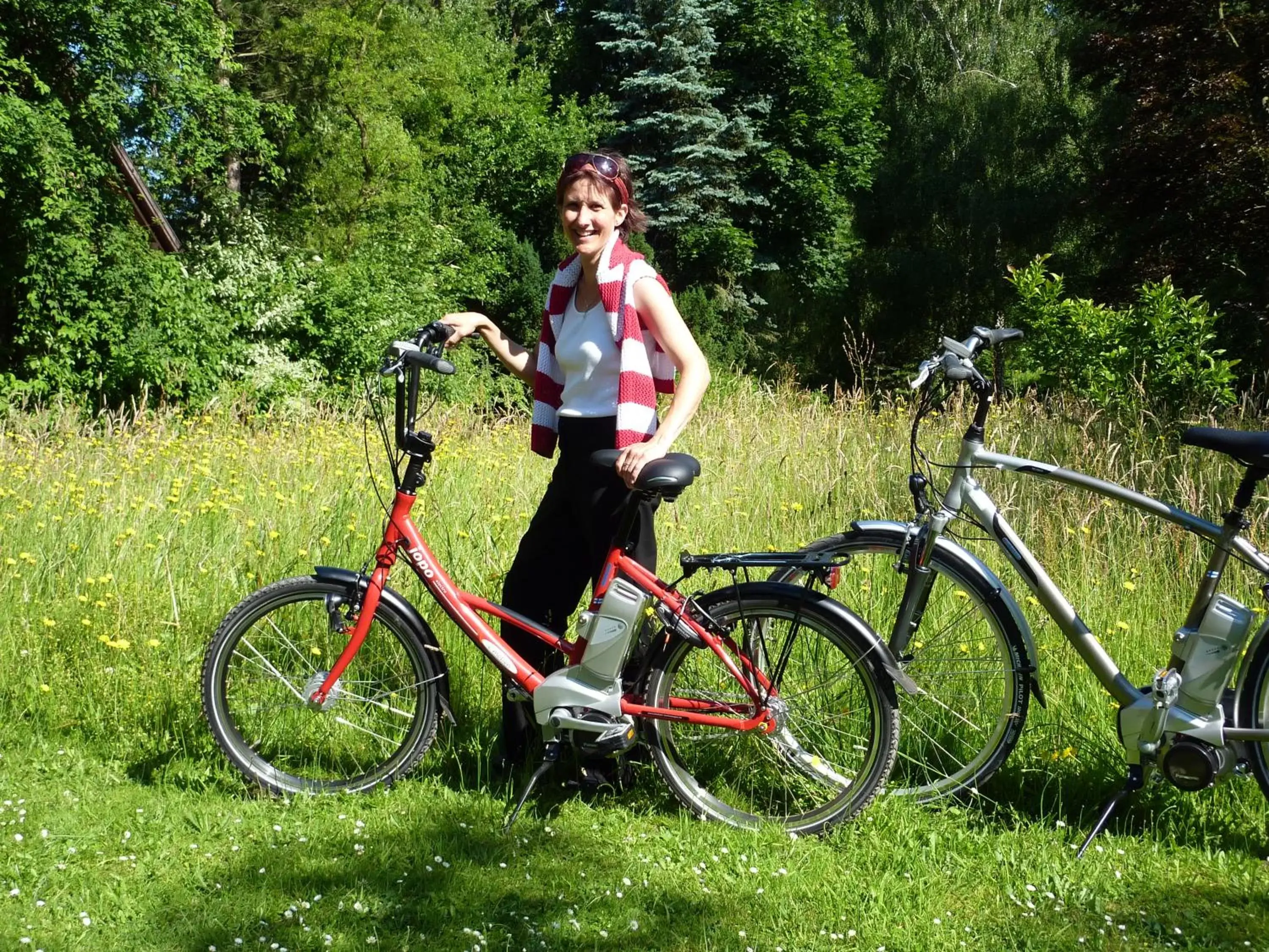 Cycling, Biking in Akzent Hotel Zur Wasserburg - Hotel Garni bed & breakfast