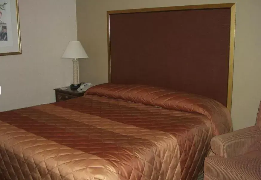 Bed in Stardust Motel