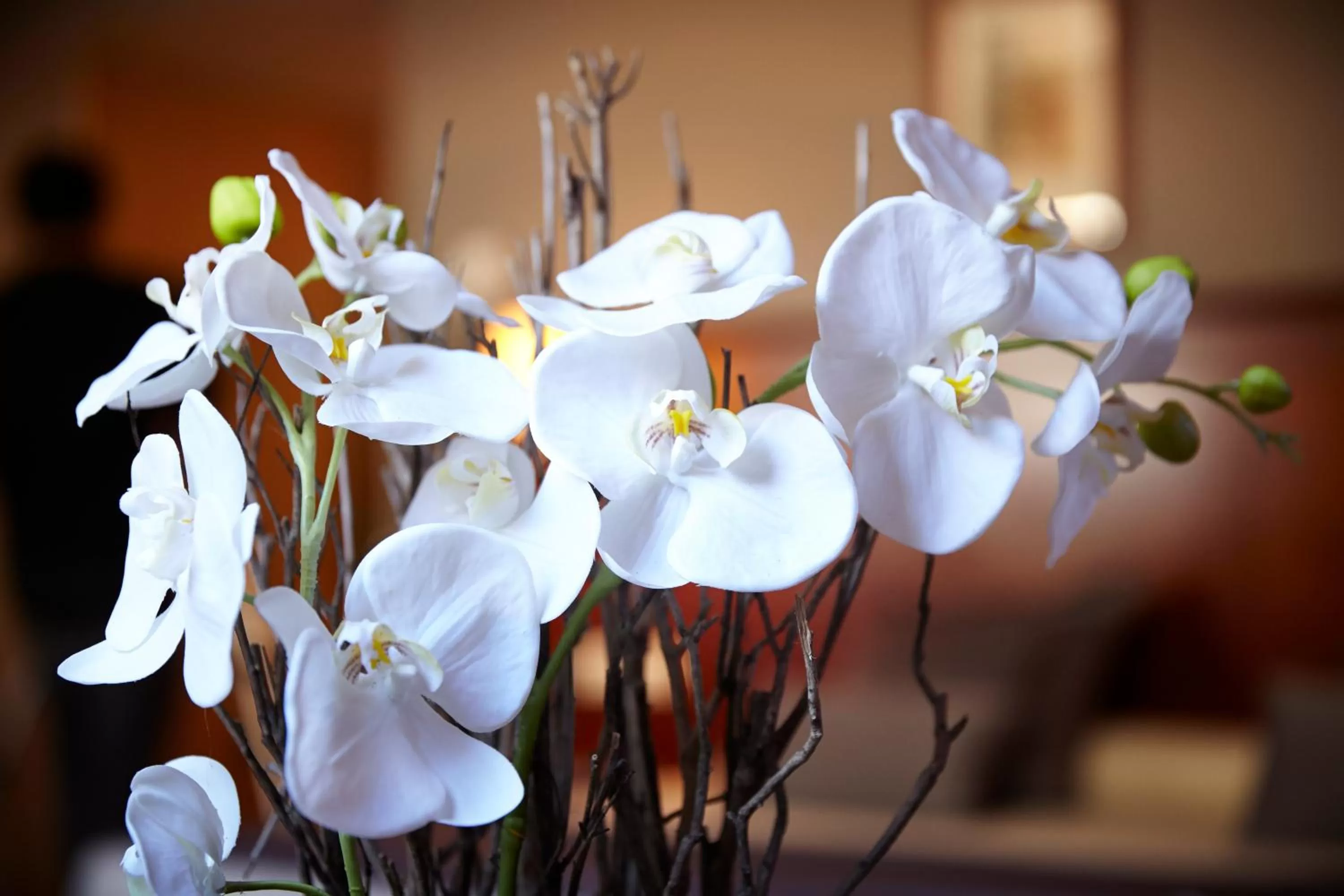 Decorative detail in Hesperia Andorra