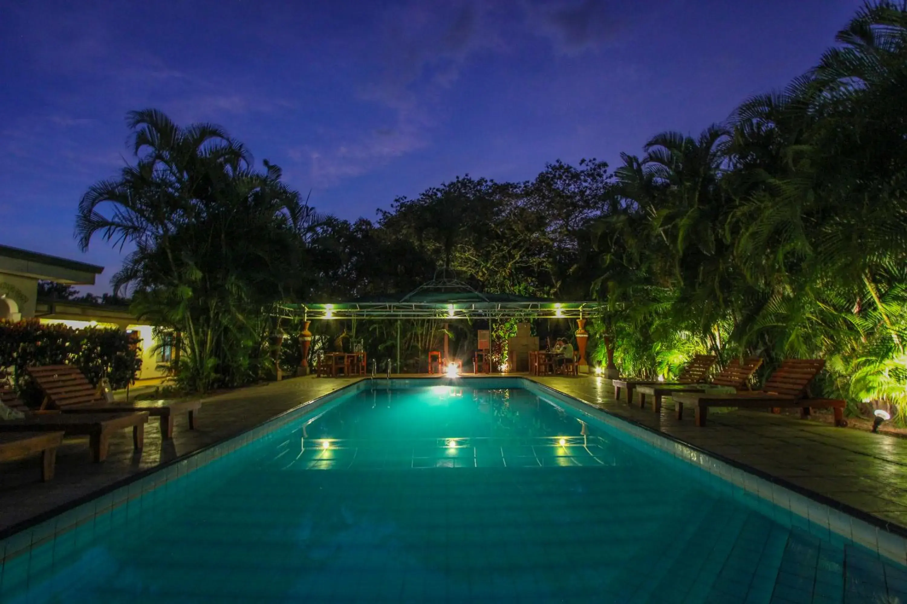 Swimming Pool in Hotel La Rosa de America