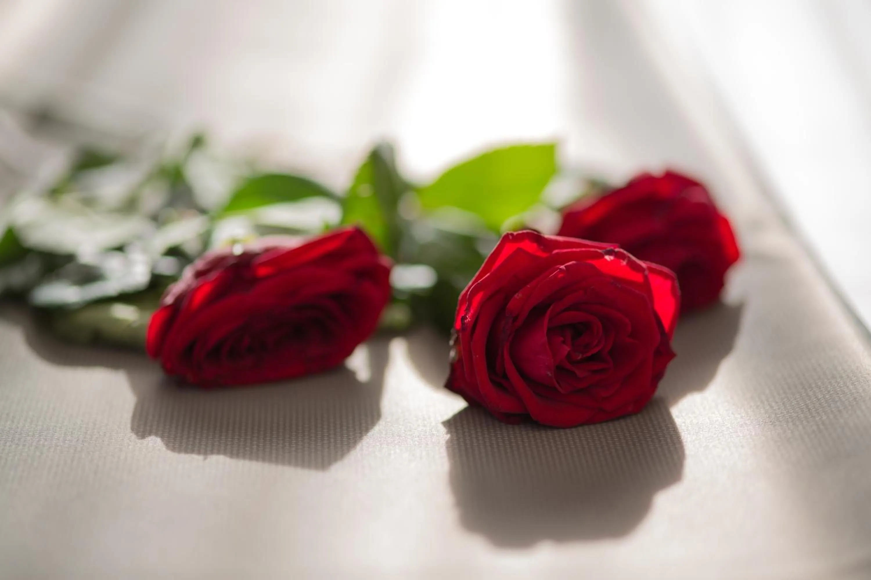 Lobby or reception in Hotel Brandoli