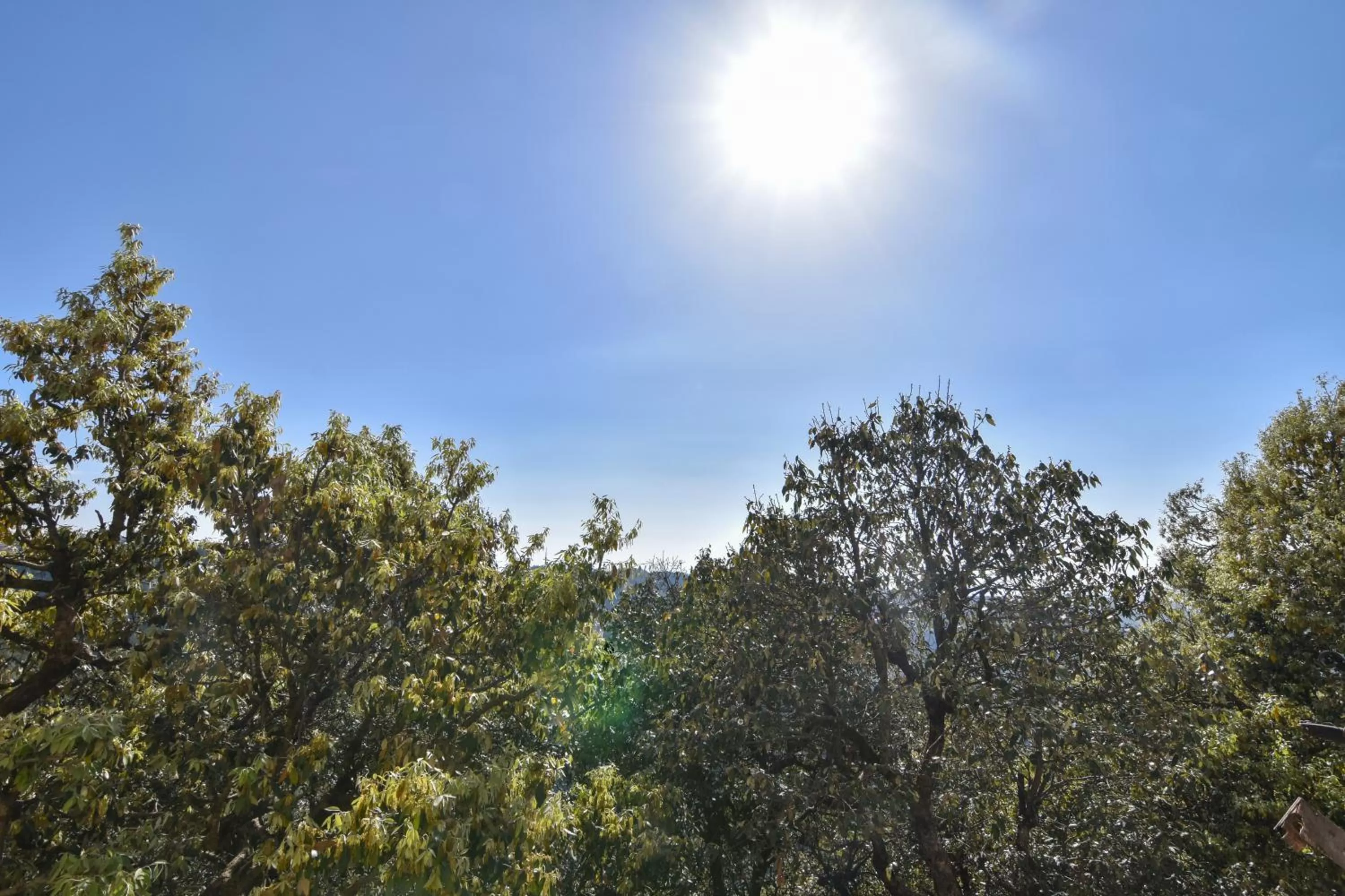 Dhanlaxmi Apartments