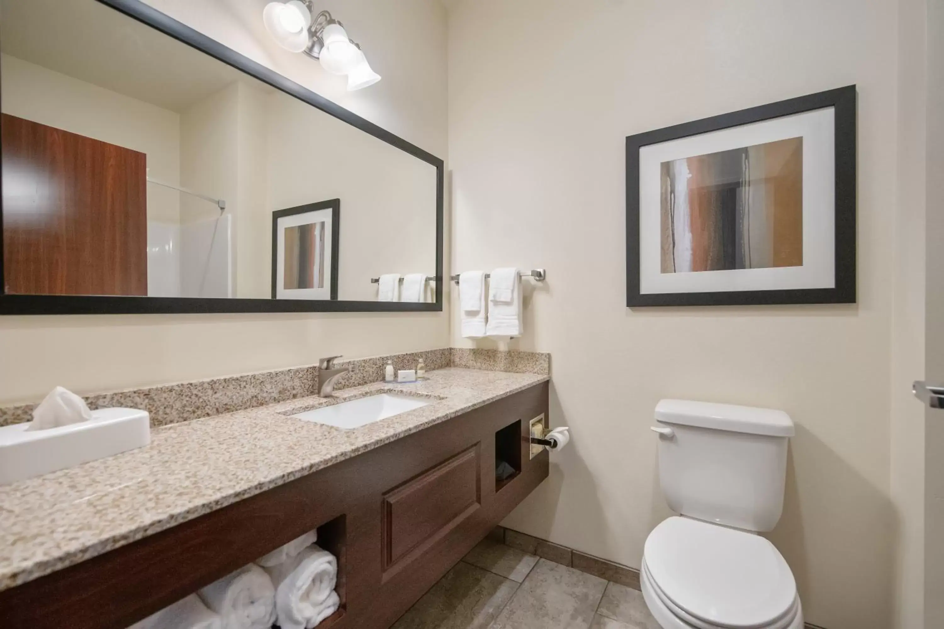 Bathroom in Cobblestone Hotel & Suites - Austin