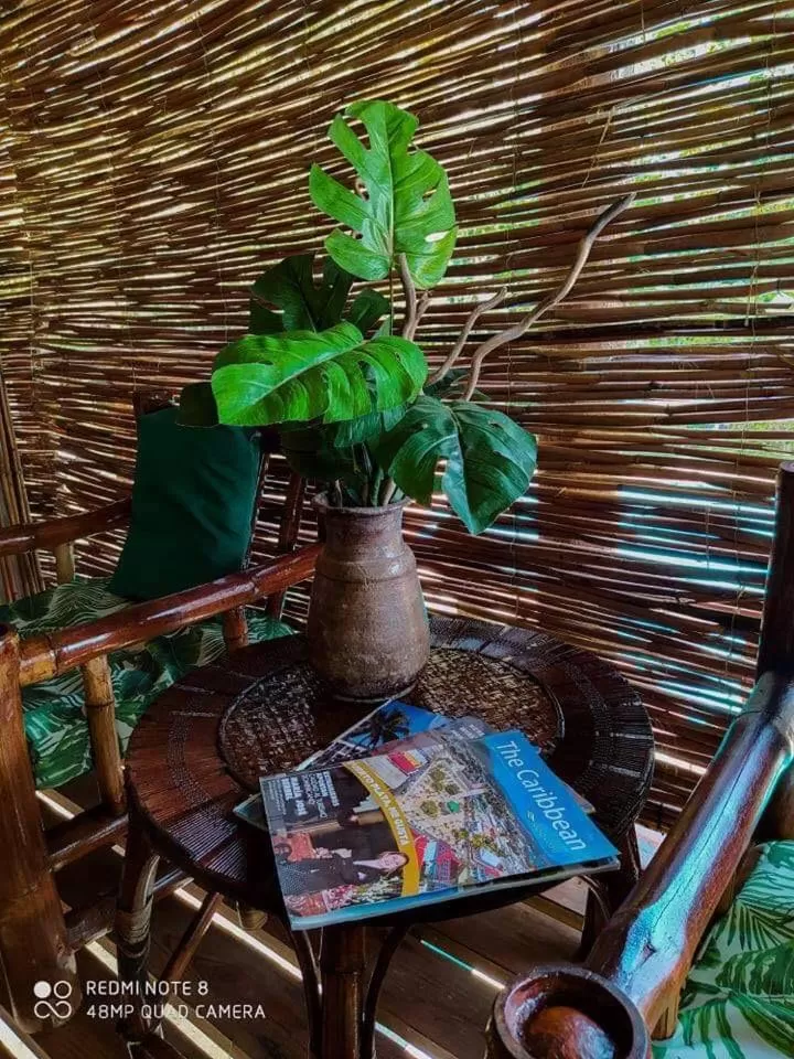 Cabarete Maravilla Eco Lodge Boutique Beach Surf Encuentro, Kite, by AA Crypto Group