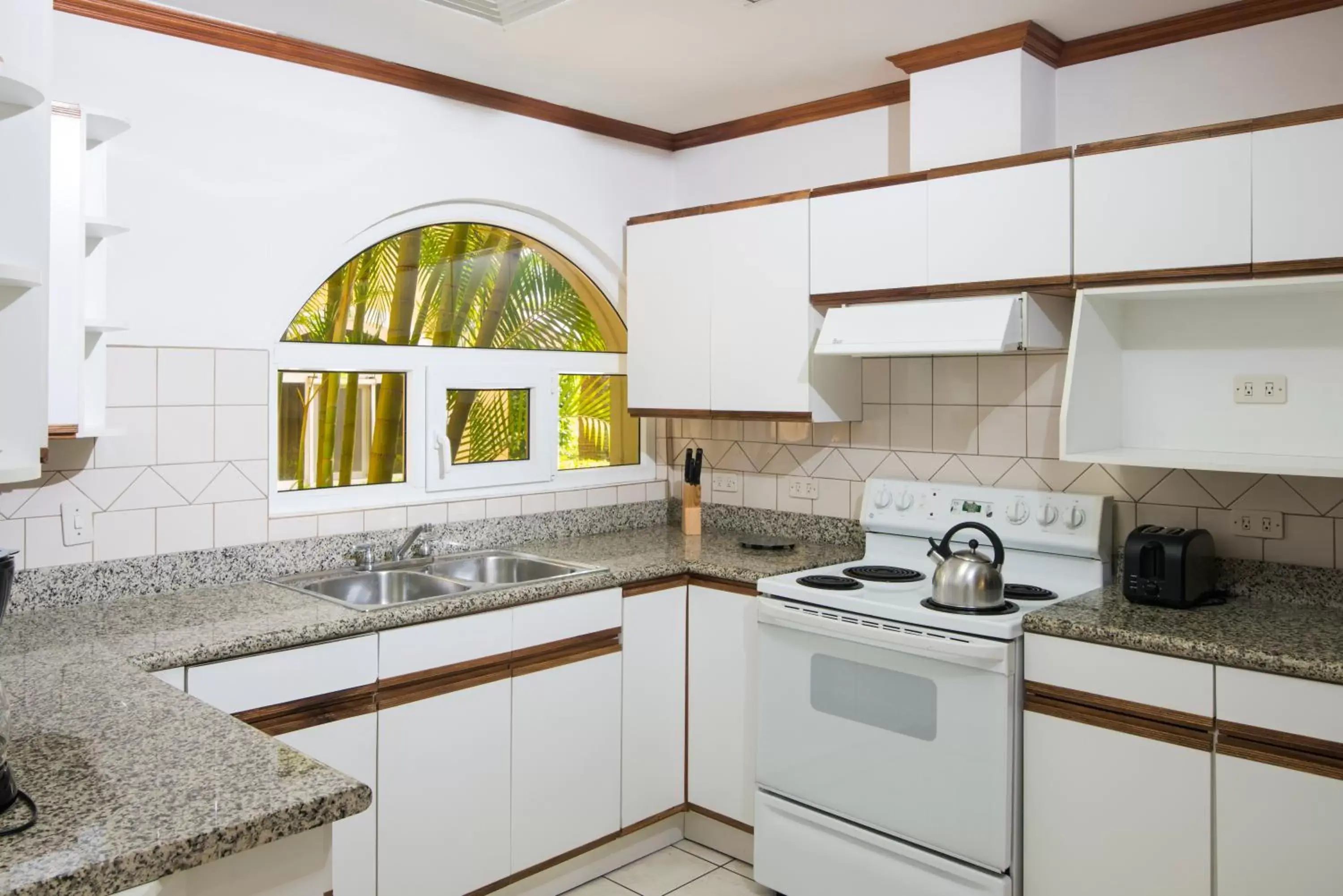 Kitchen or kitchenette, Kitchen/Kitchenette in Apartotel & Suites Villas del Rio