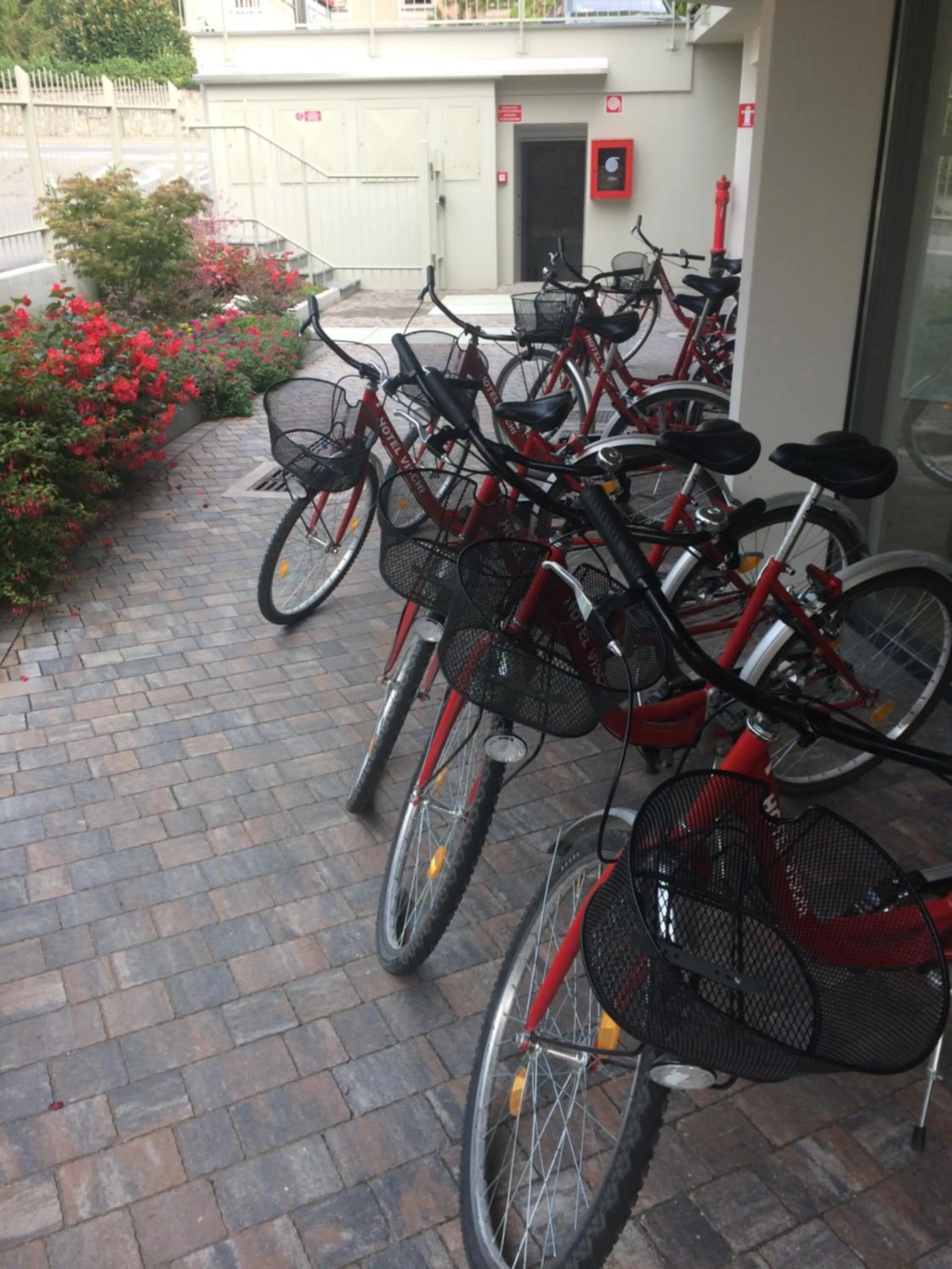 Cycling in Hotel Vischi