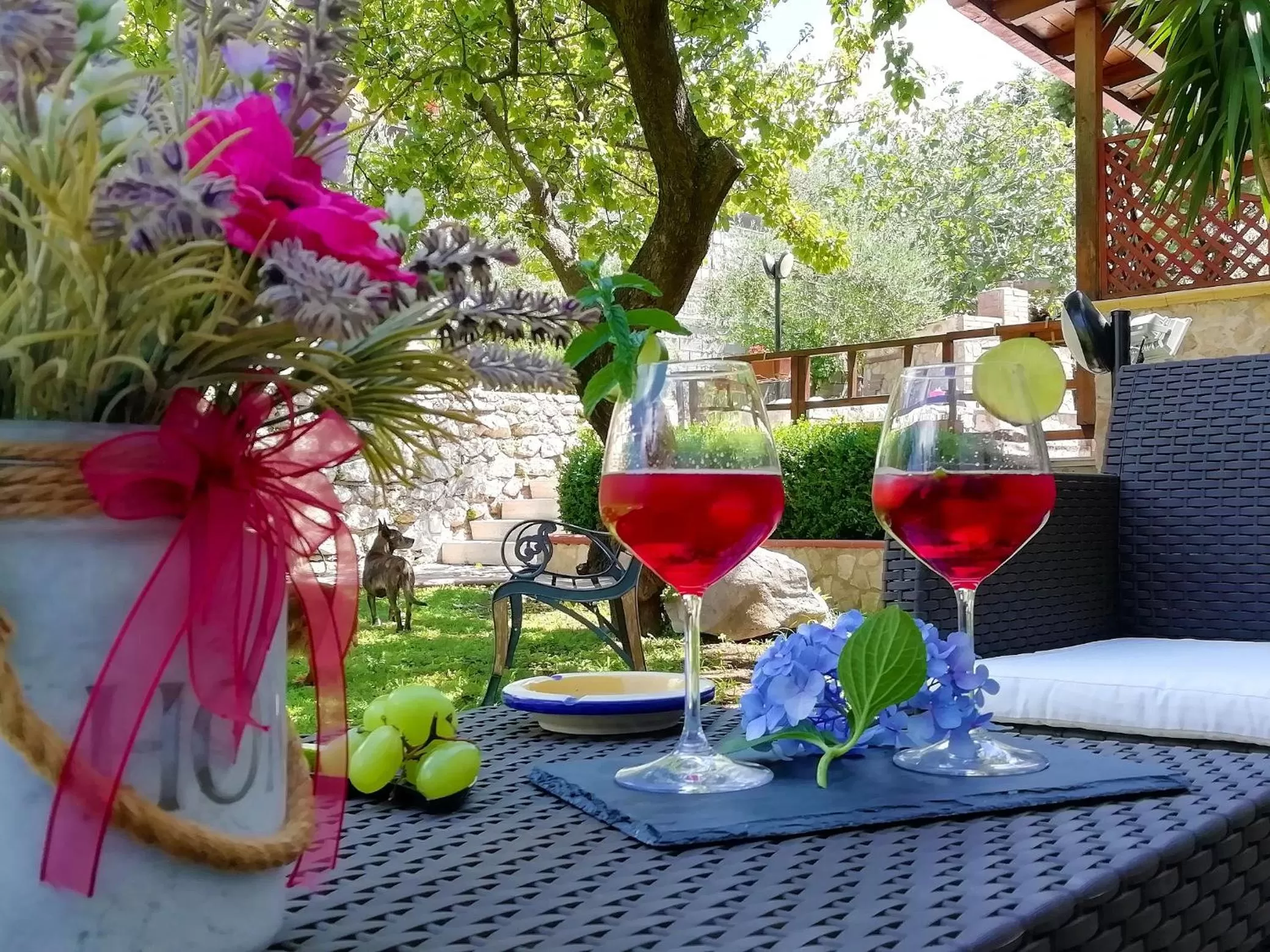 Garden in B&B Maison Villa Vittorio