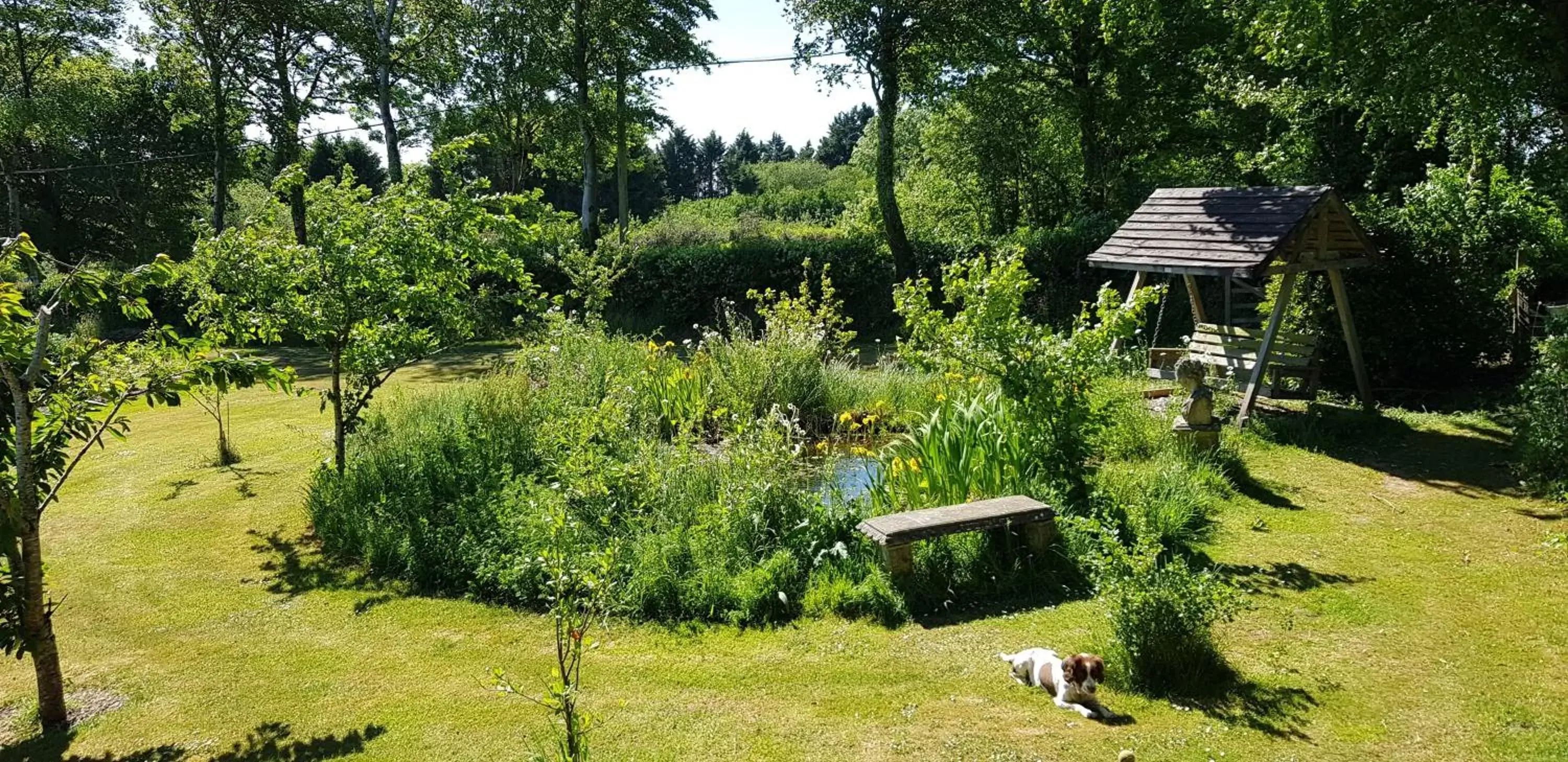 Garden in Ebberley Escapes