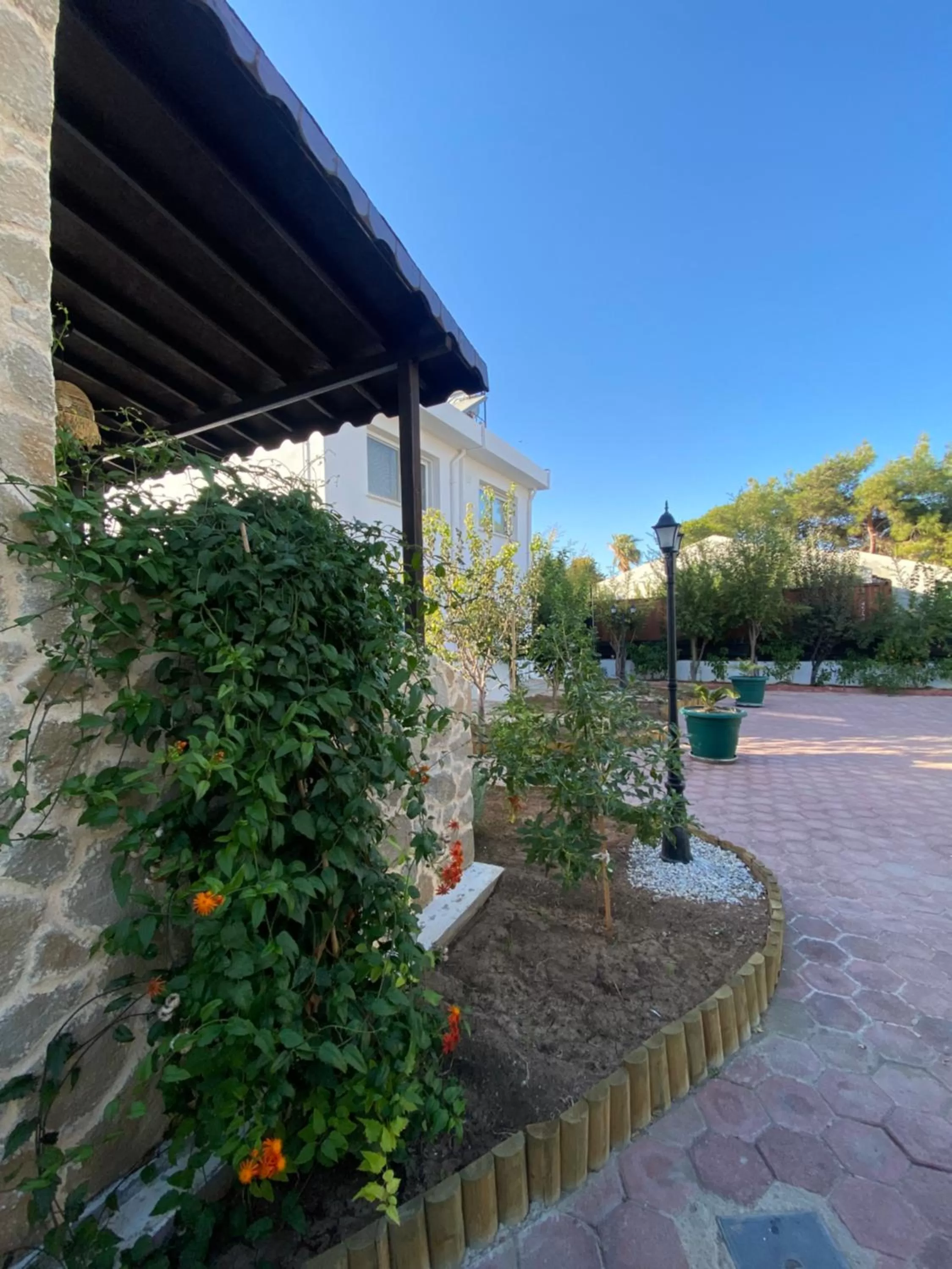 Property building in Sunside Inn Hotel