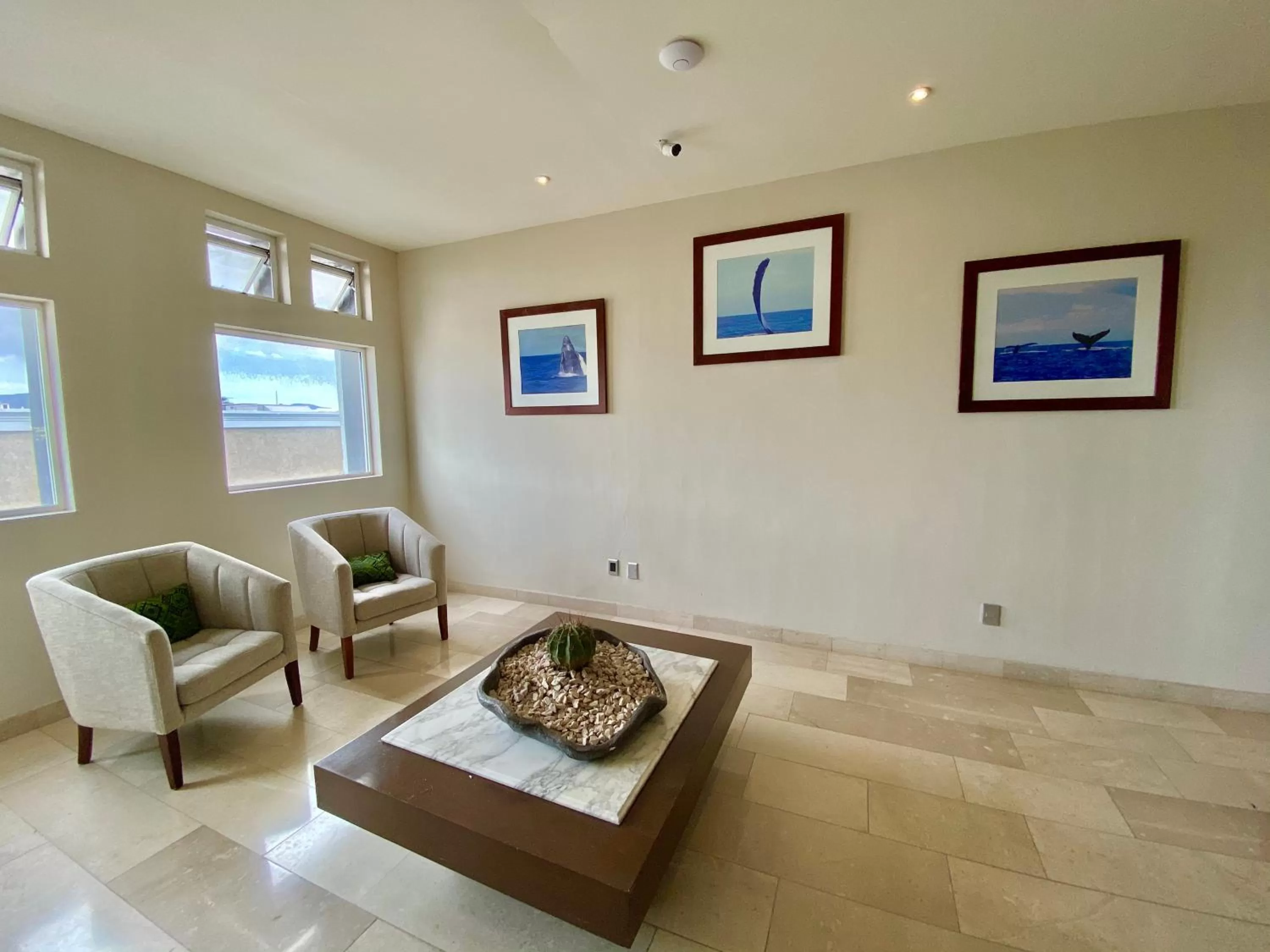 Area and facilities in Seven Crown La Paz Malecon