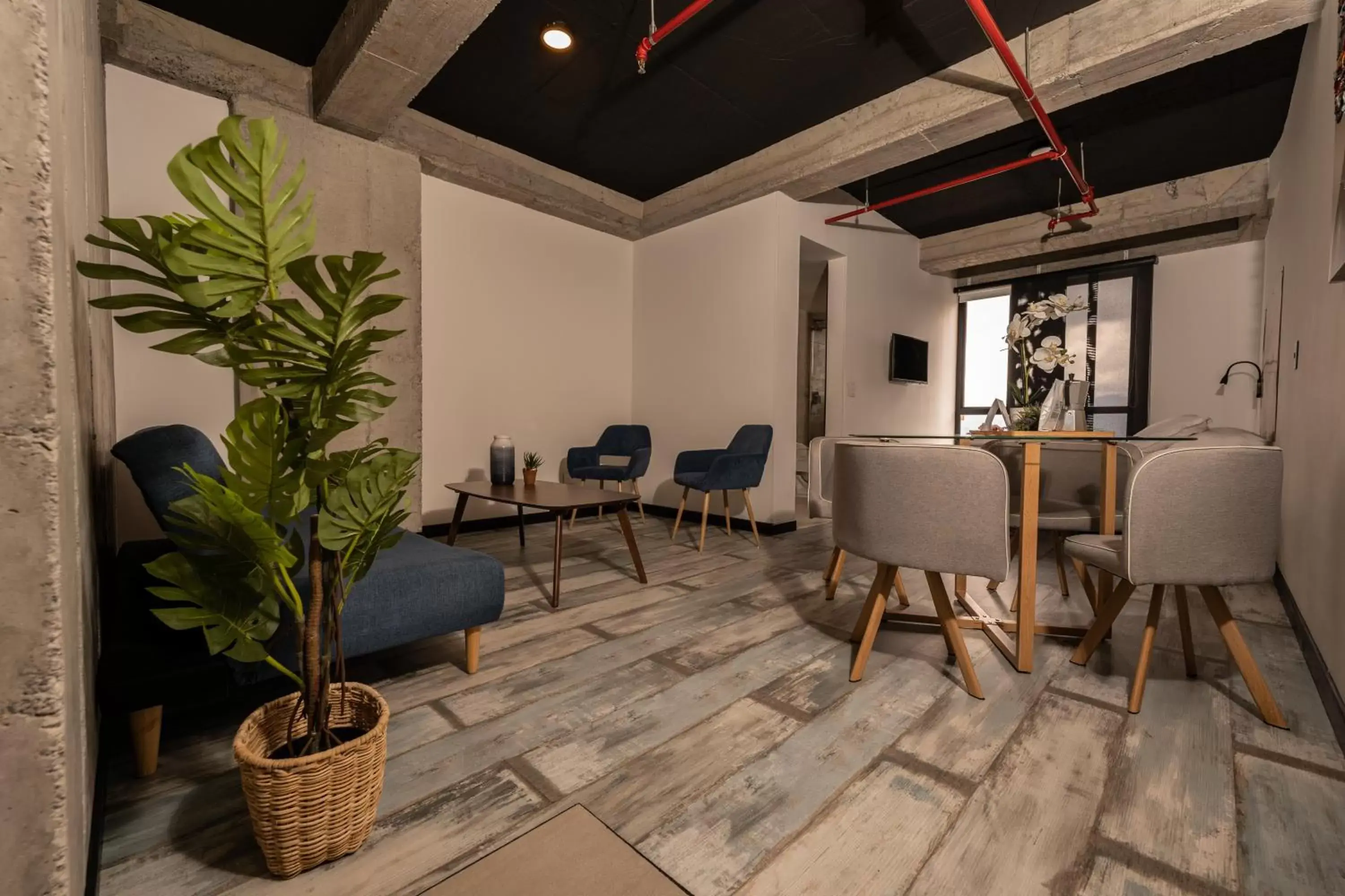 One-Bedroom Apartment in The Coffee Club Apartahotel One-Bedroom Apartment in The Coffee Club Apartahotel