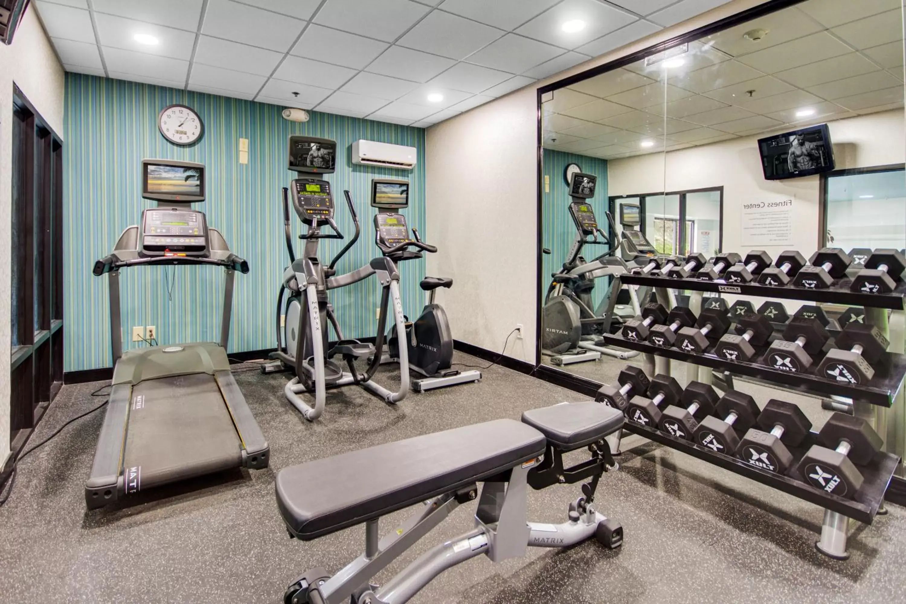 Fitness centre/facilities, Fitness Center/Facilities in Holiday Inn Express Dublin, an IHG Hotel