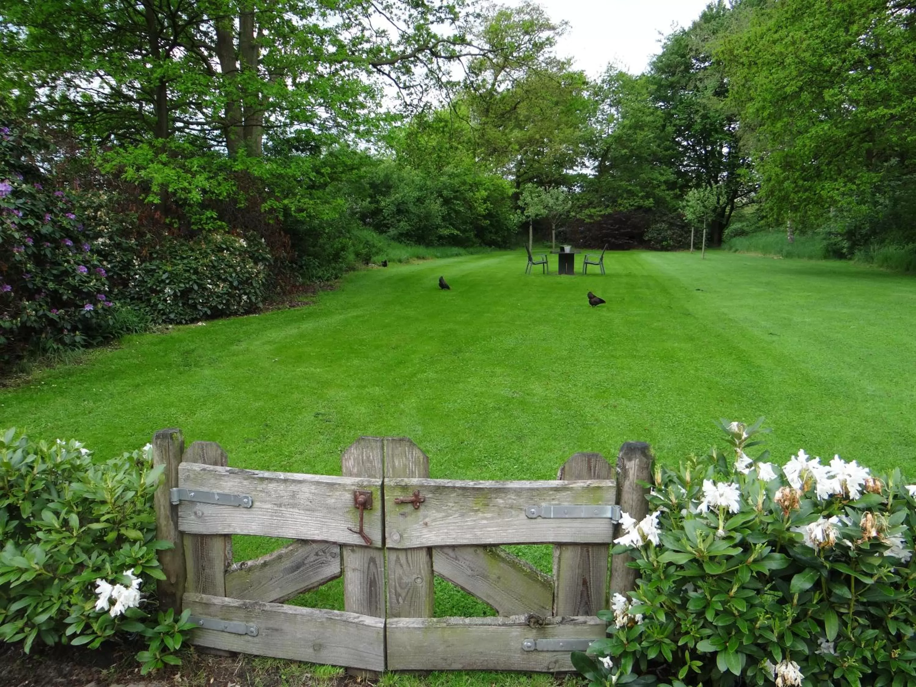 Garden in B&B Gastvrij Lenthe