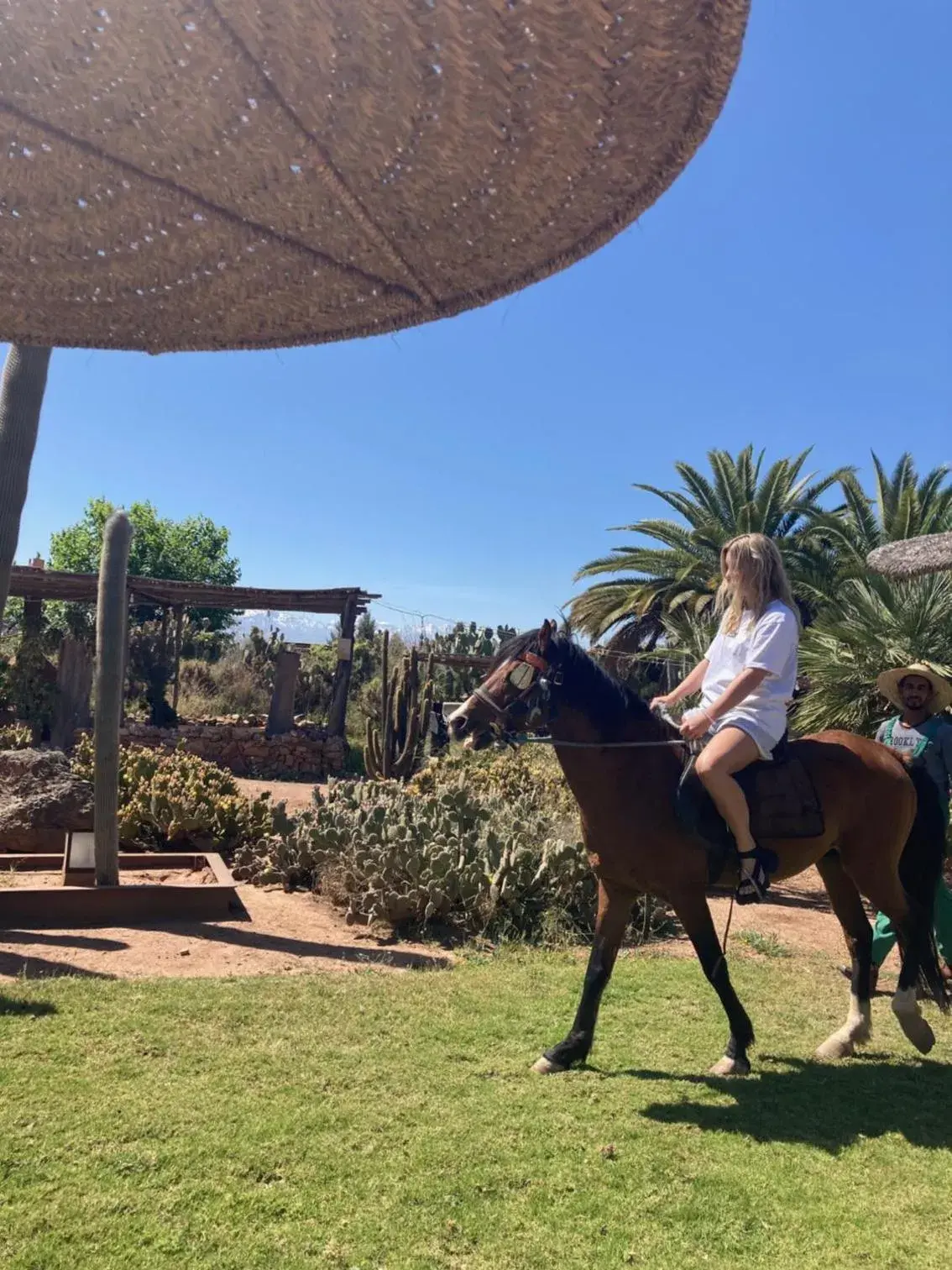 Horse-riding in Fellah Hotel