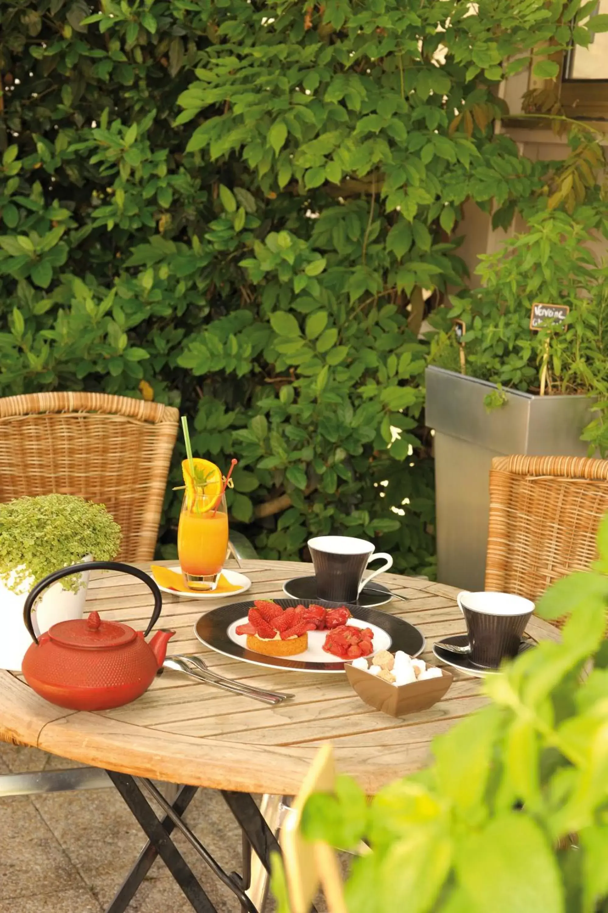 Patio/Outdoor Area in Logis Les Glycines