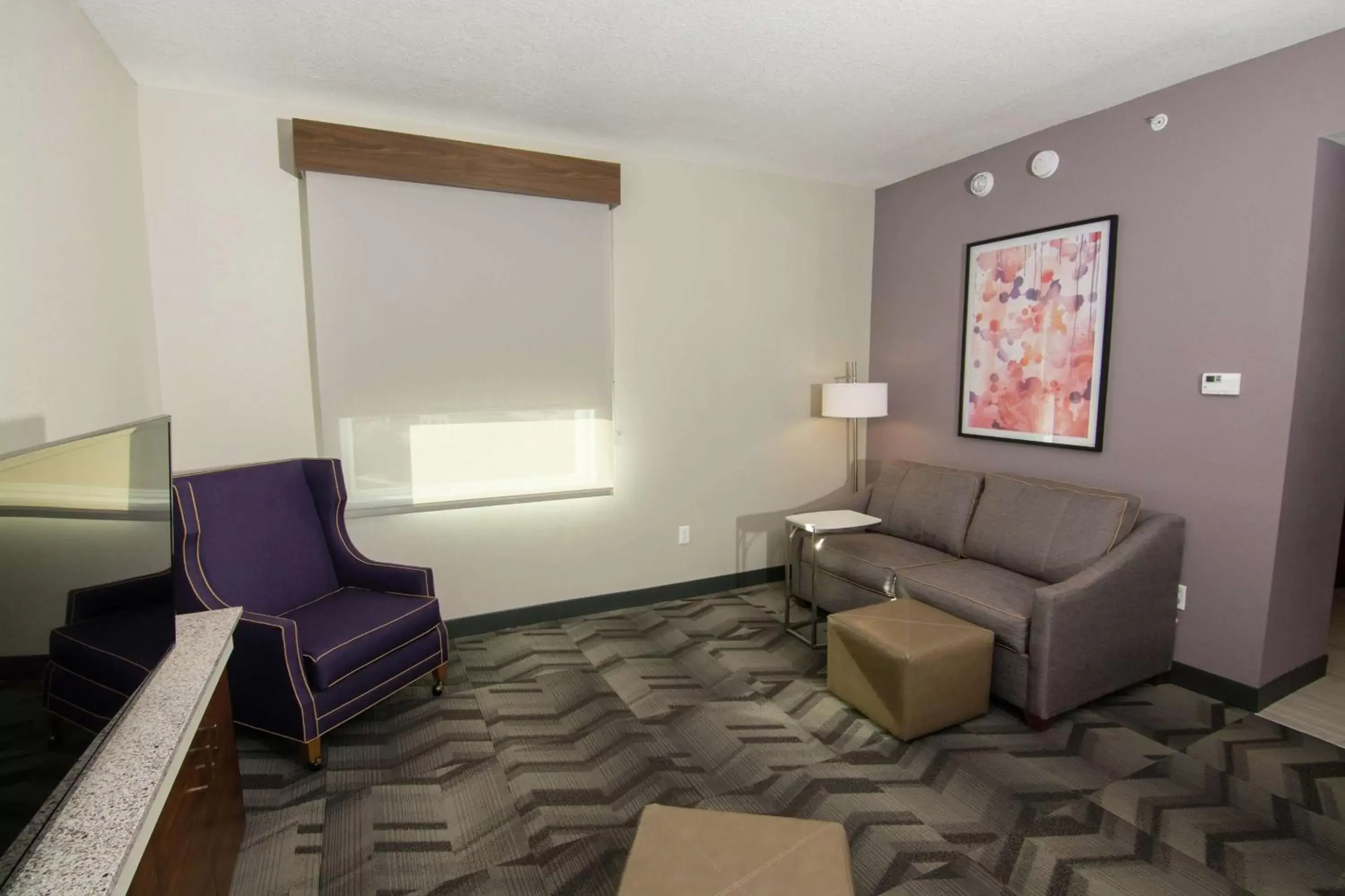 Living room, Seating Area in Hilton Garden Inn Tampa Suncoast Parkway