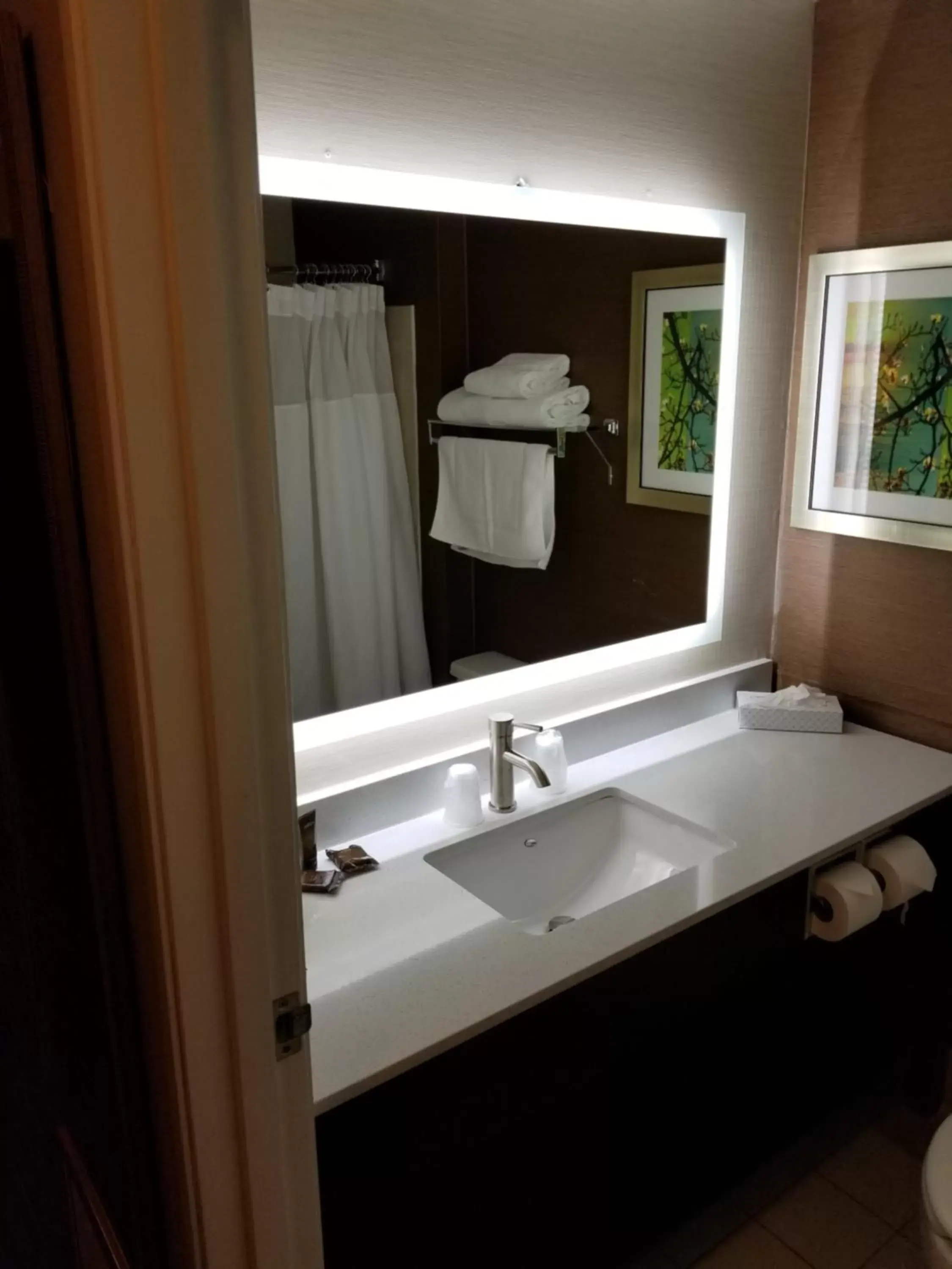 Bathroom in Wingate by Wyndham Great Falls