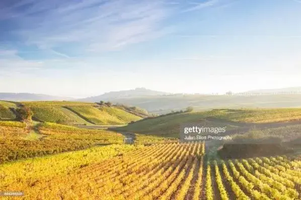 Natural Landscape in Les Oiseaux chambre d'hôtes