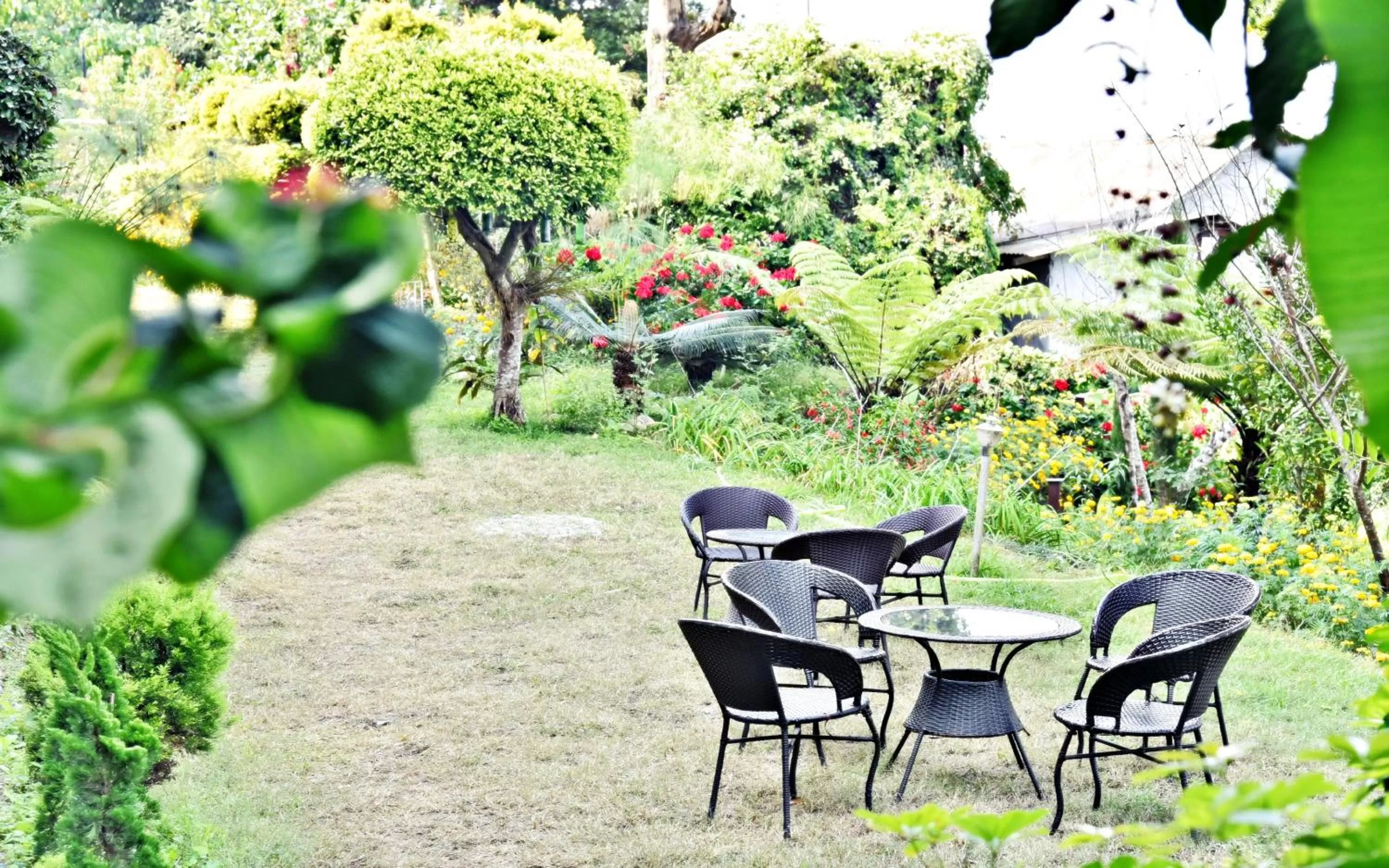 Garden in Sood's Himalayan Vista