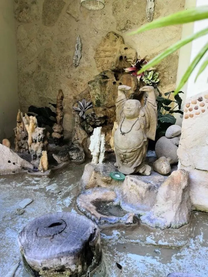 Other Animals in Hotel Coco Rio "City Center"