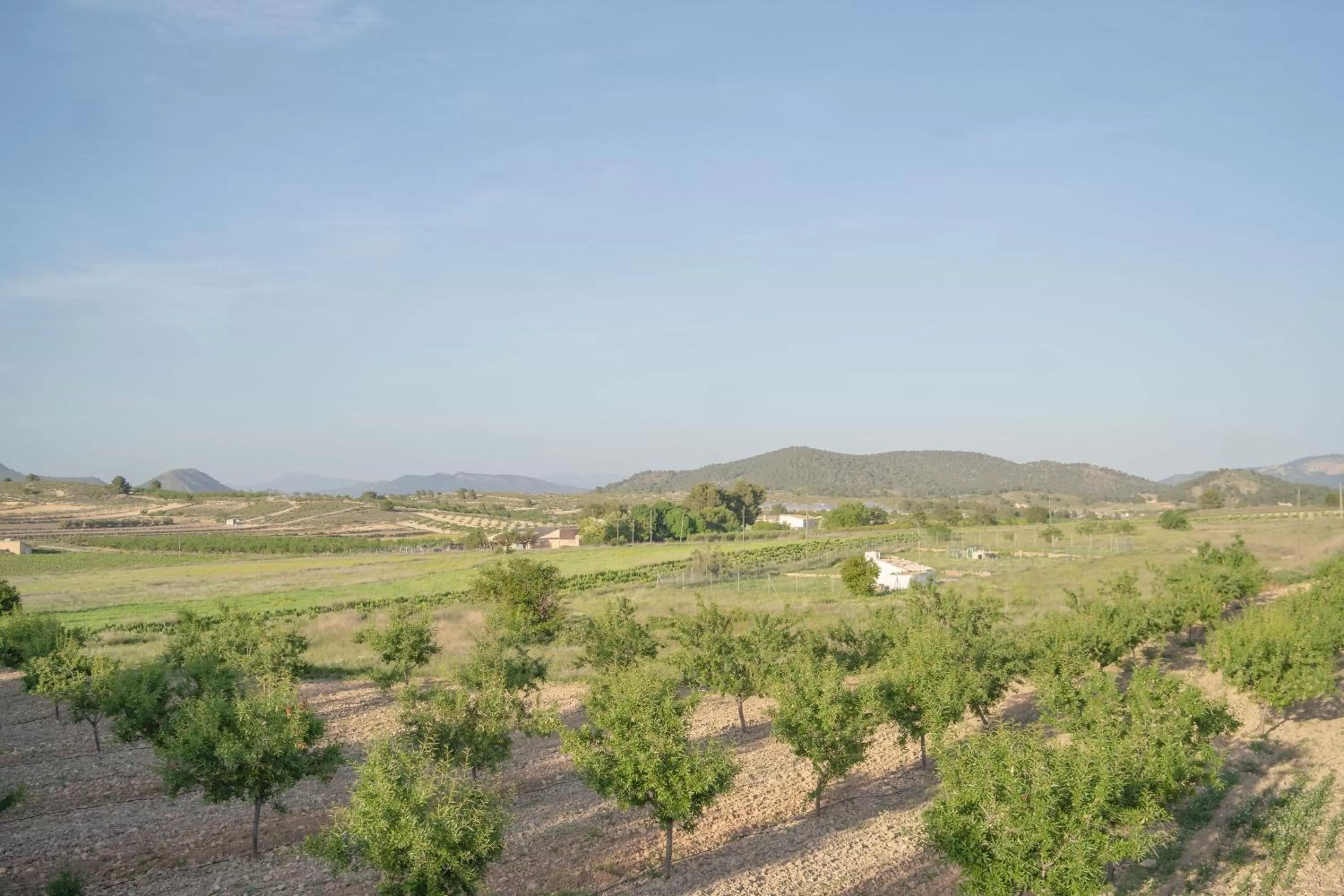 Natural landscape in Sunny Vista