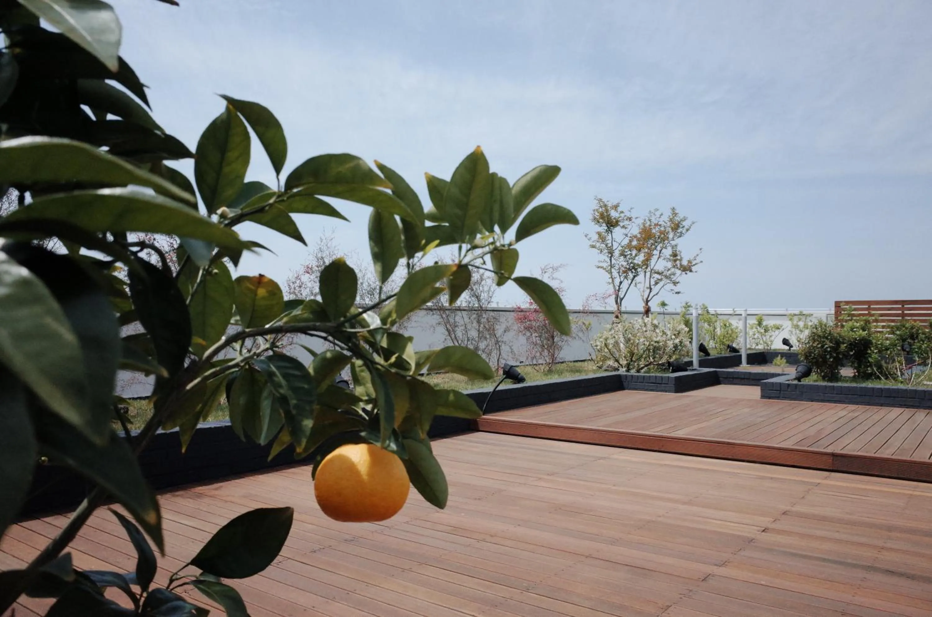 Balcony/Terrace in Hi Residences