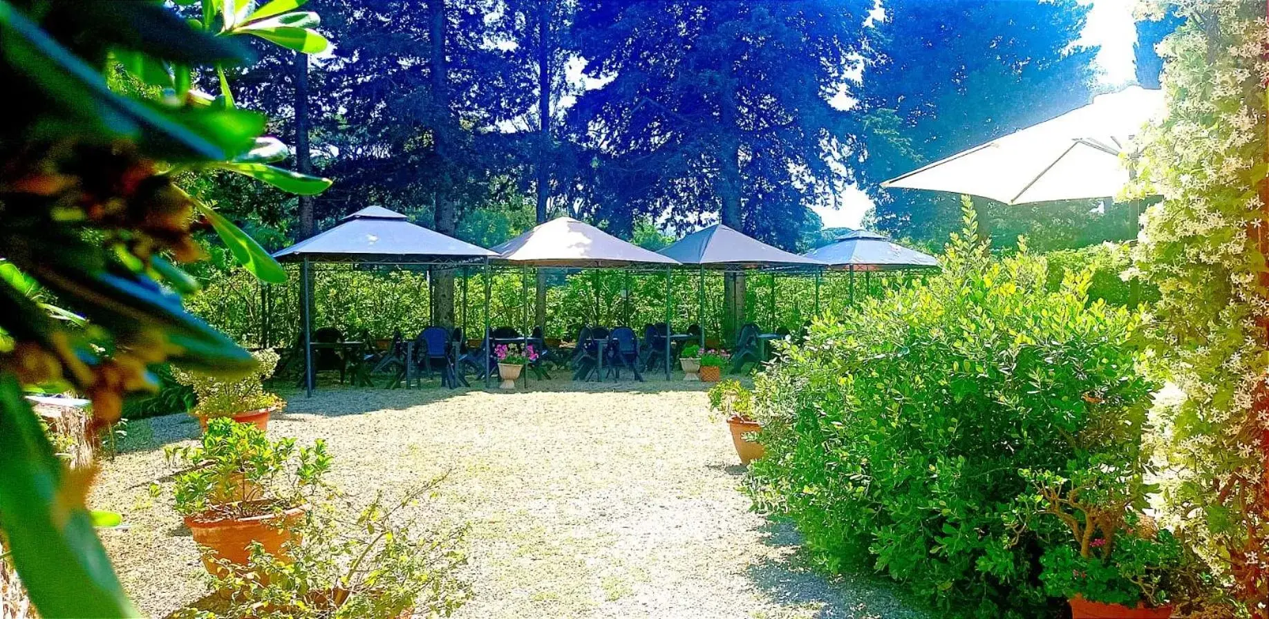 Garden in Villa Gaia