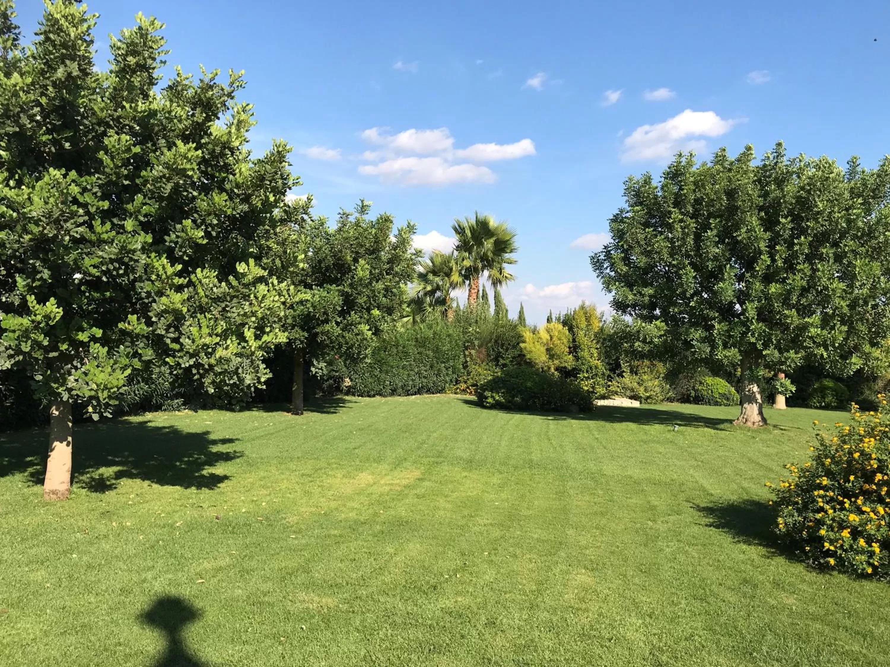 Garden in Relais Masseria della Colomba - Agriturismo