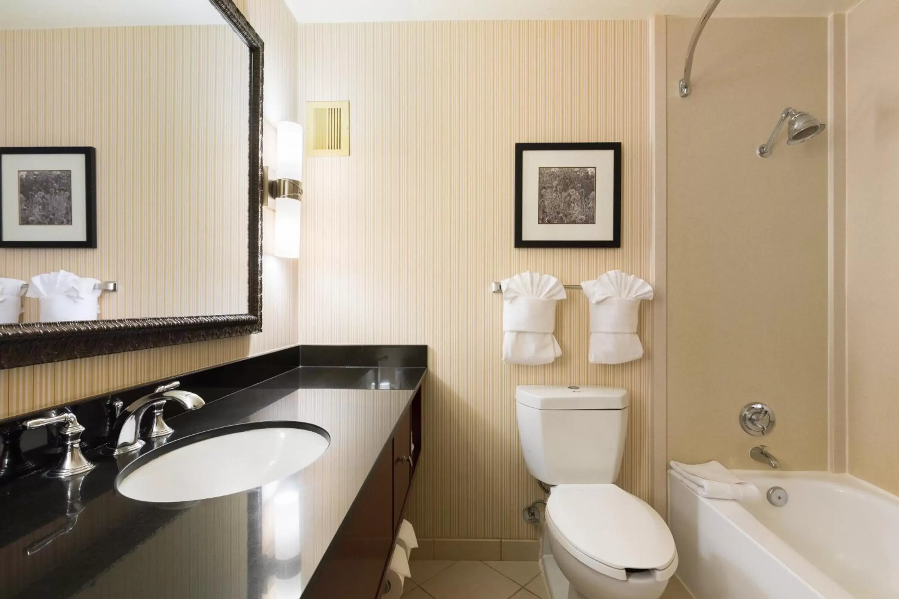 Photo of the whole room, Bathroom in Holiday Inn Sacramento Downtown-Arena, an IHG Hotel