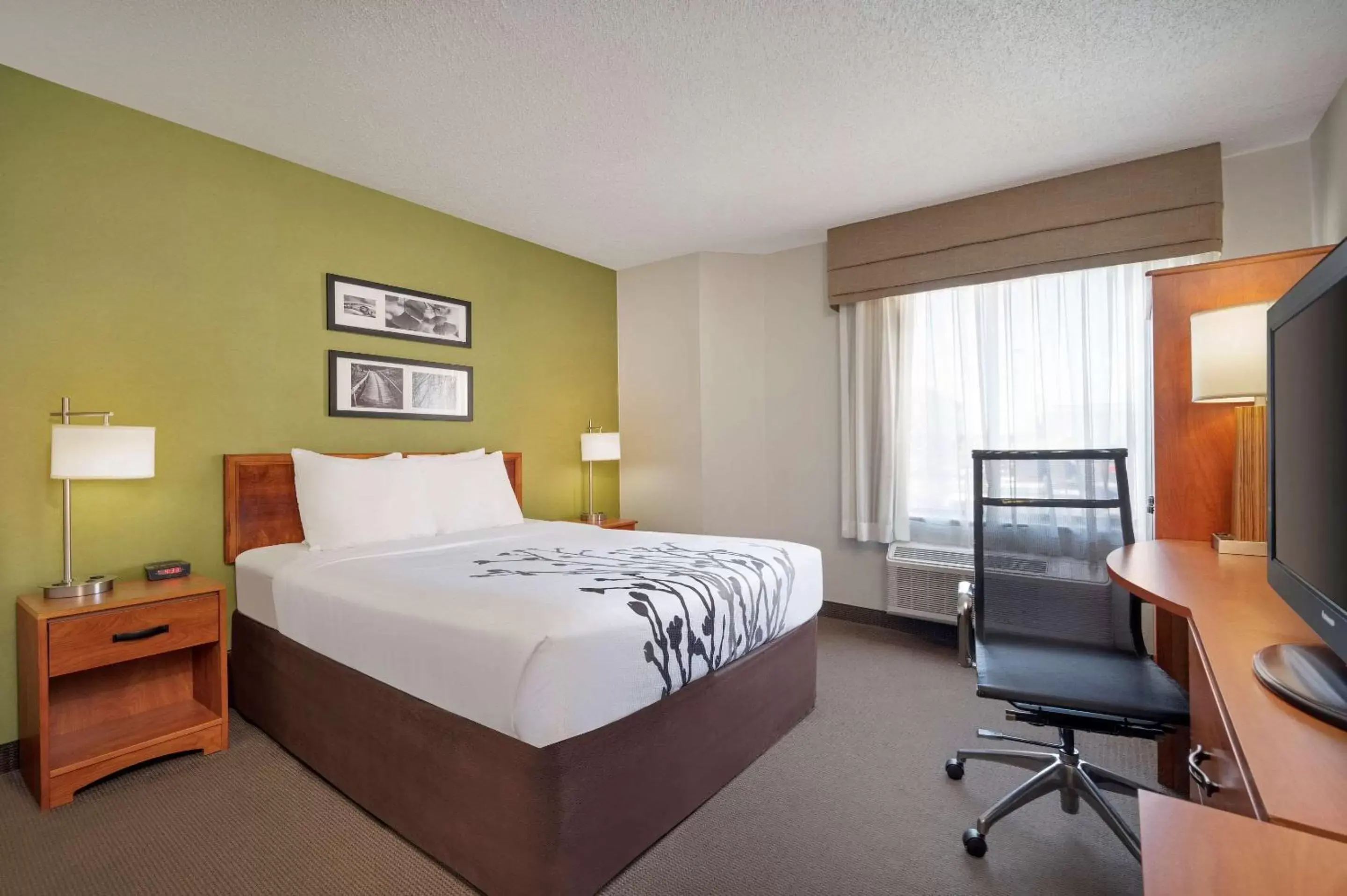 Photo of the whole room, Bed in Sleep Inn Midway Airport Bedford Park