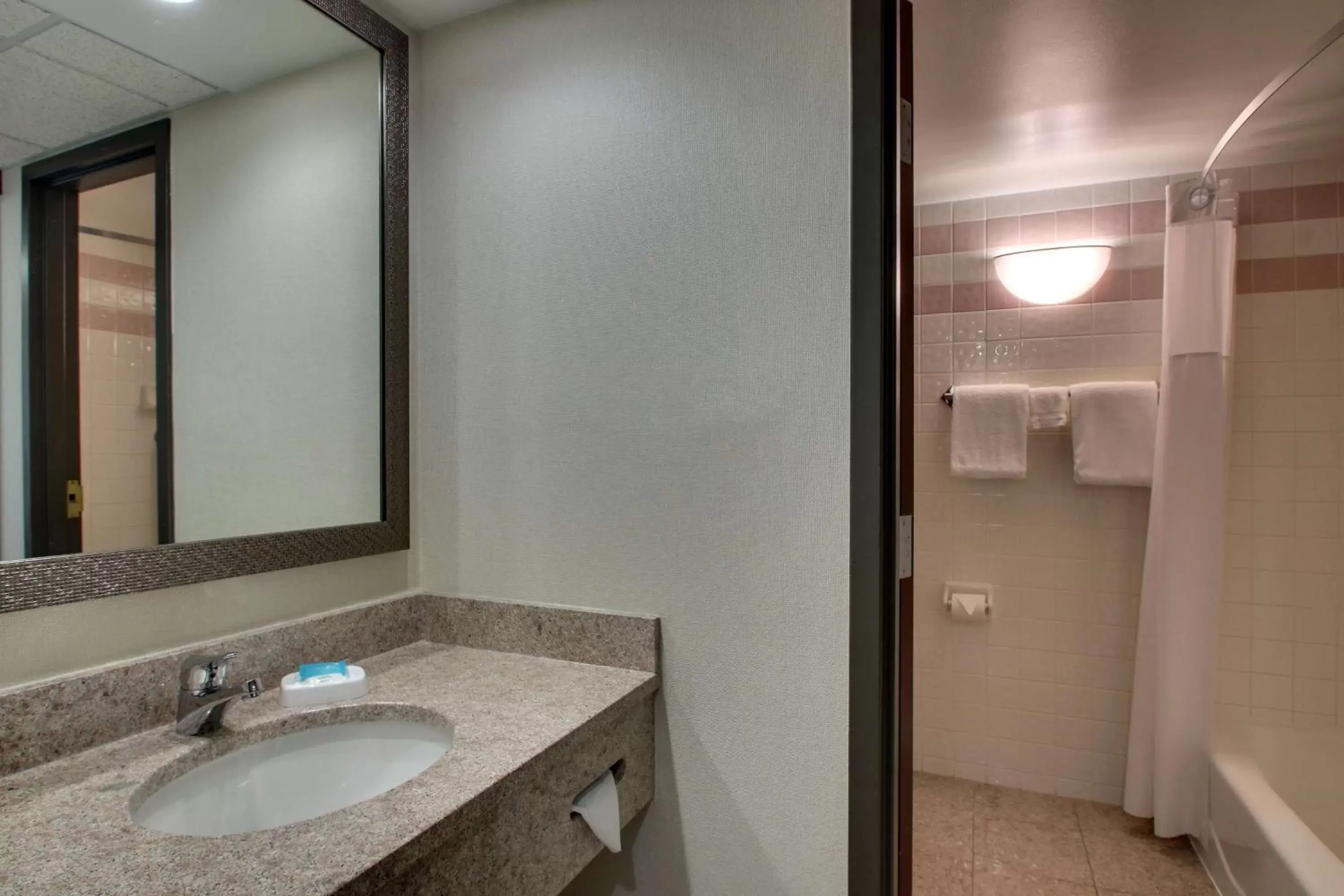 Bathroom in Drury Inn & Suites Evansville East