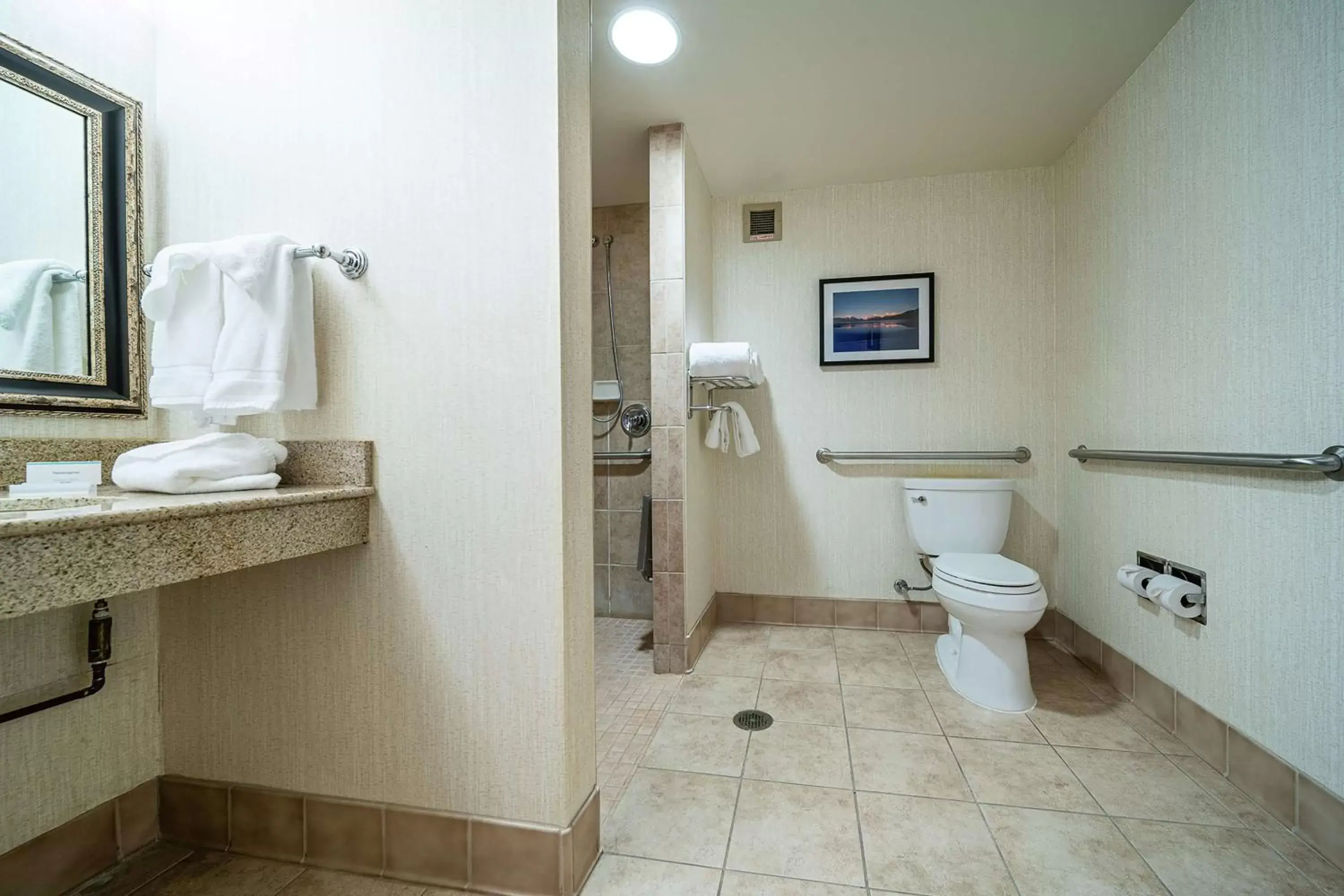 Bathroom in Hilton Garden Inn Kalispell