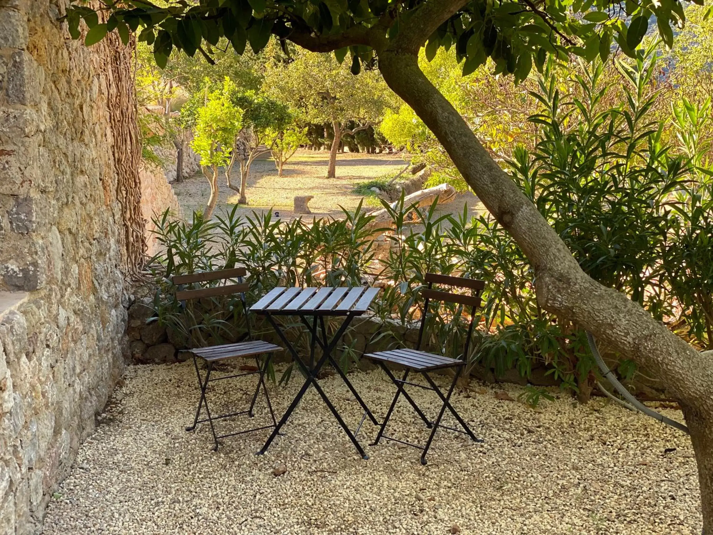 Garden view in Mirabó de Valldemossa