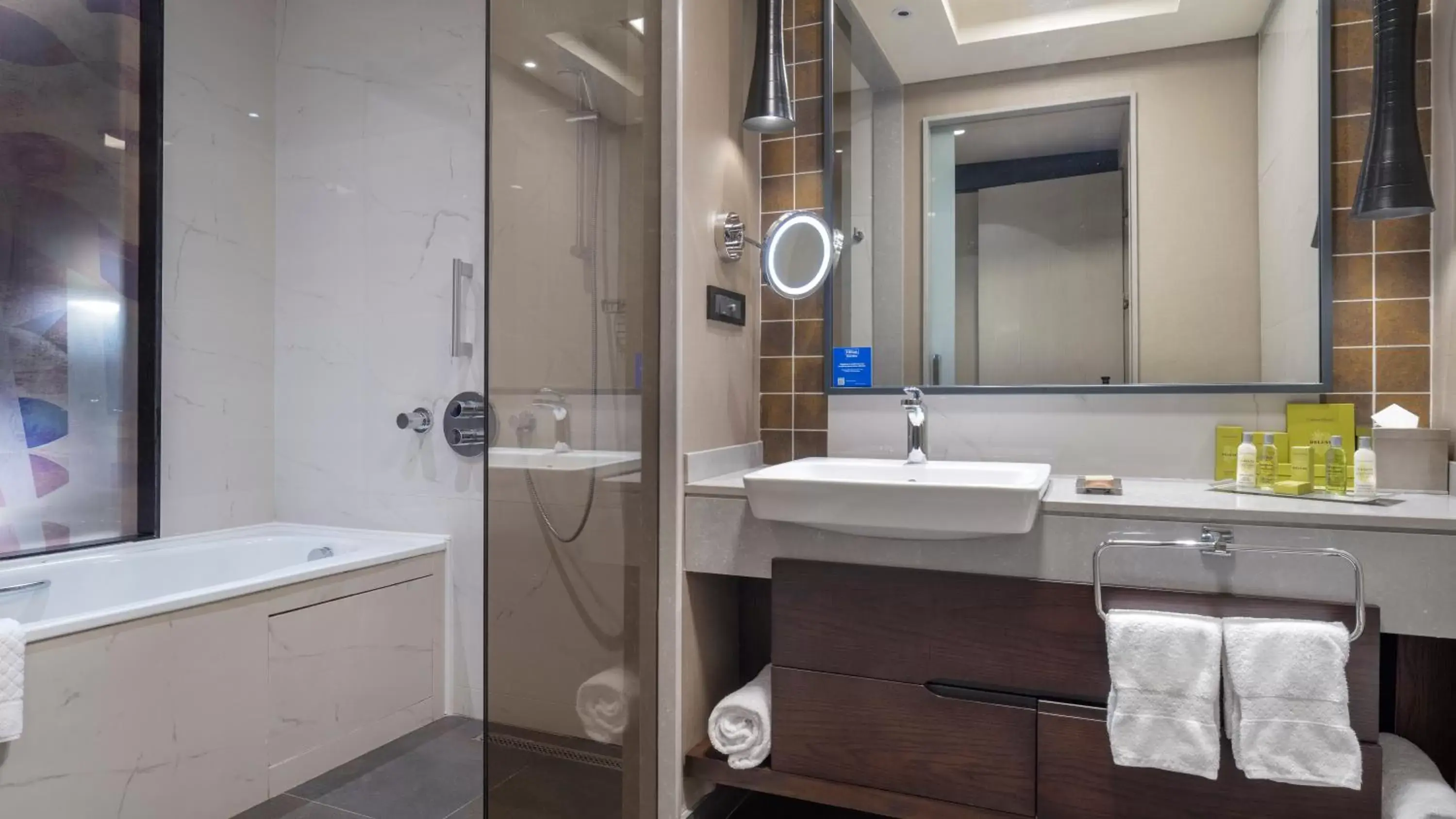 Shower, Bathroom in Hilton Istanbul Bakirkoy