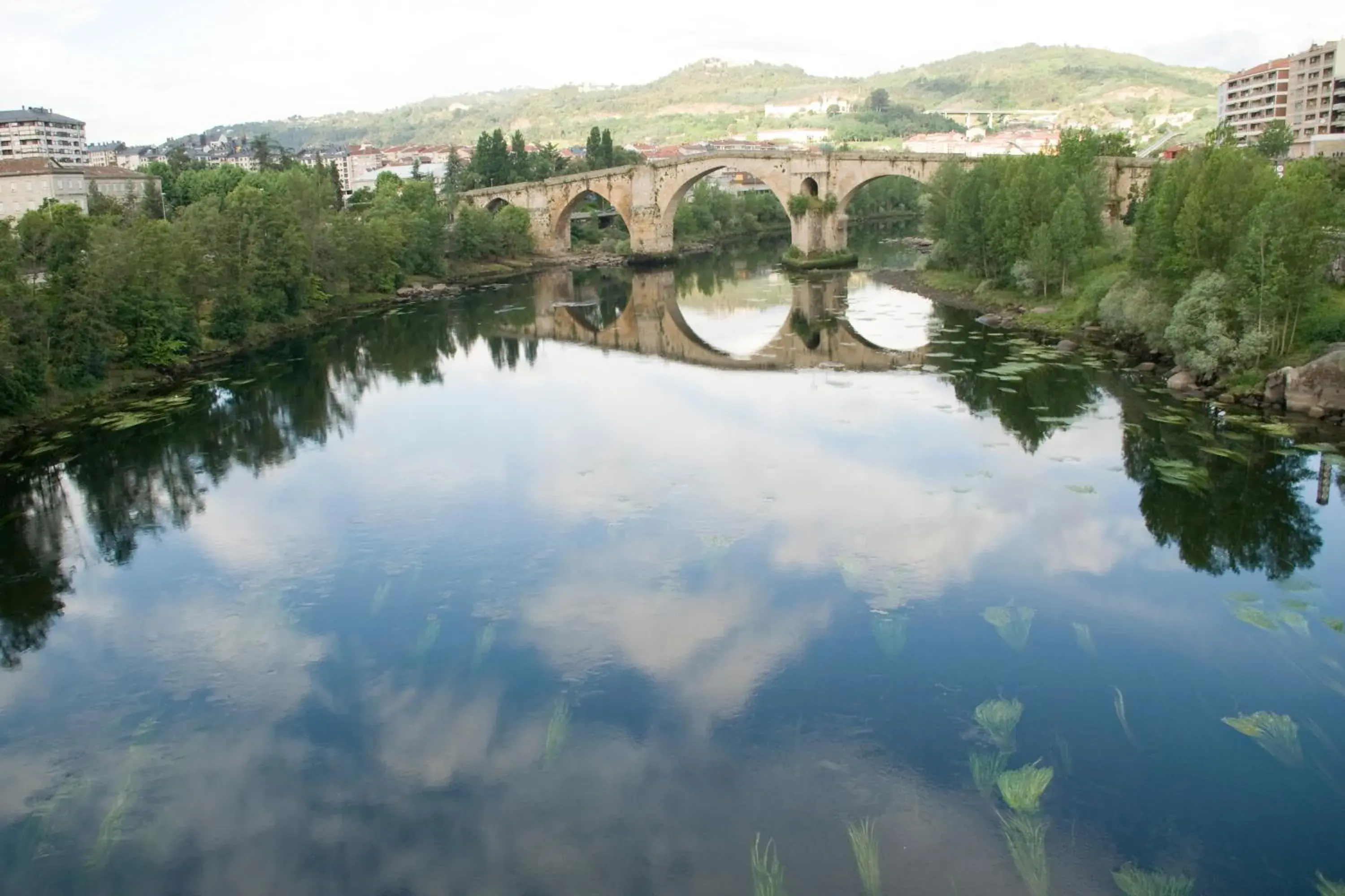 Off site, Bird's-eye View in Carris Cardenal Quevedo