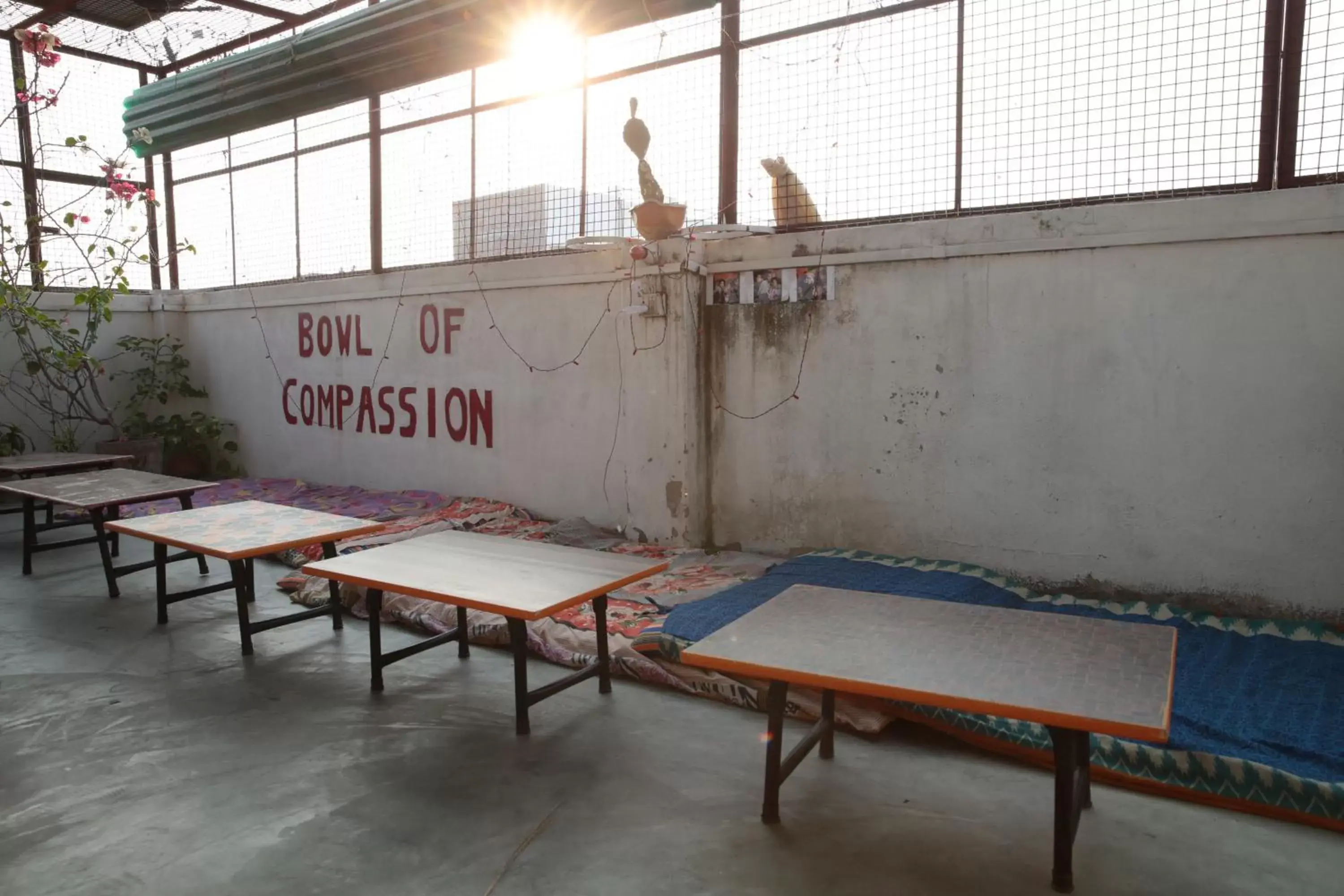 Restaurant/places to eat in Somit Paying Guest House Restaurant/places to eat in Somit Paying Guest House