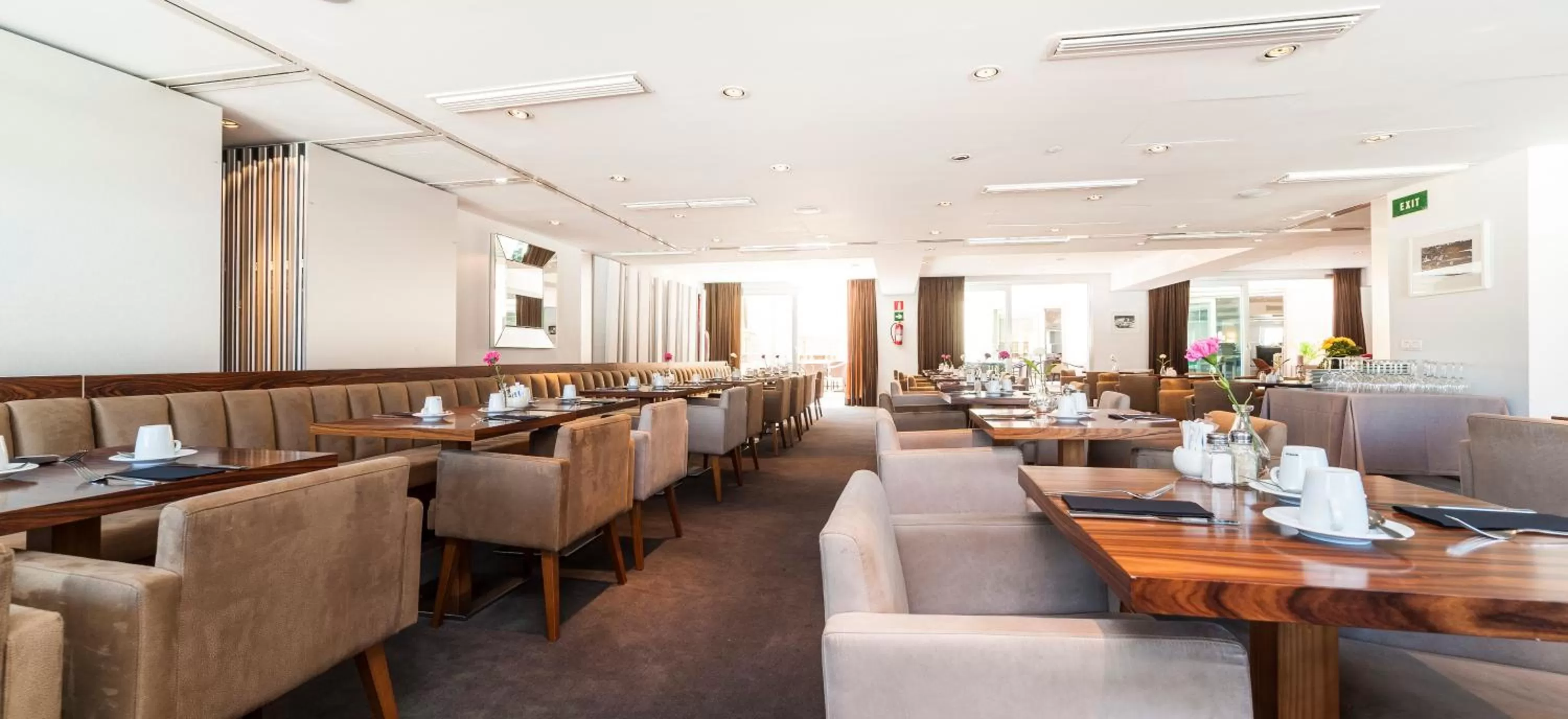 Food and drinks in Palacio Avenida