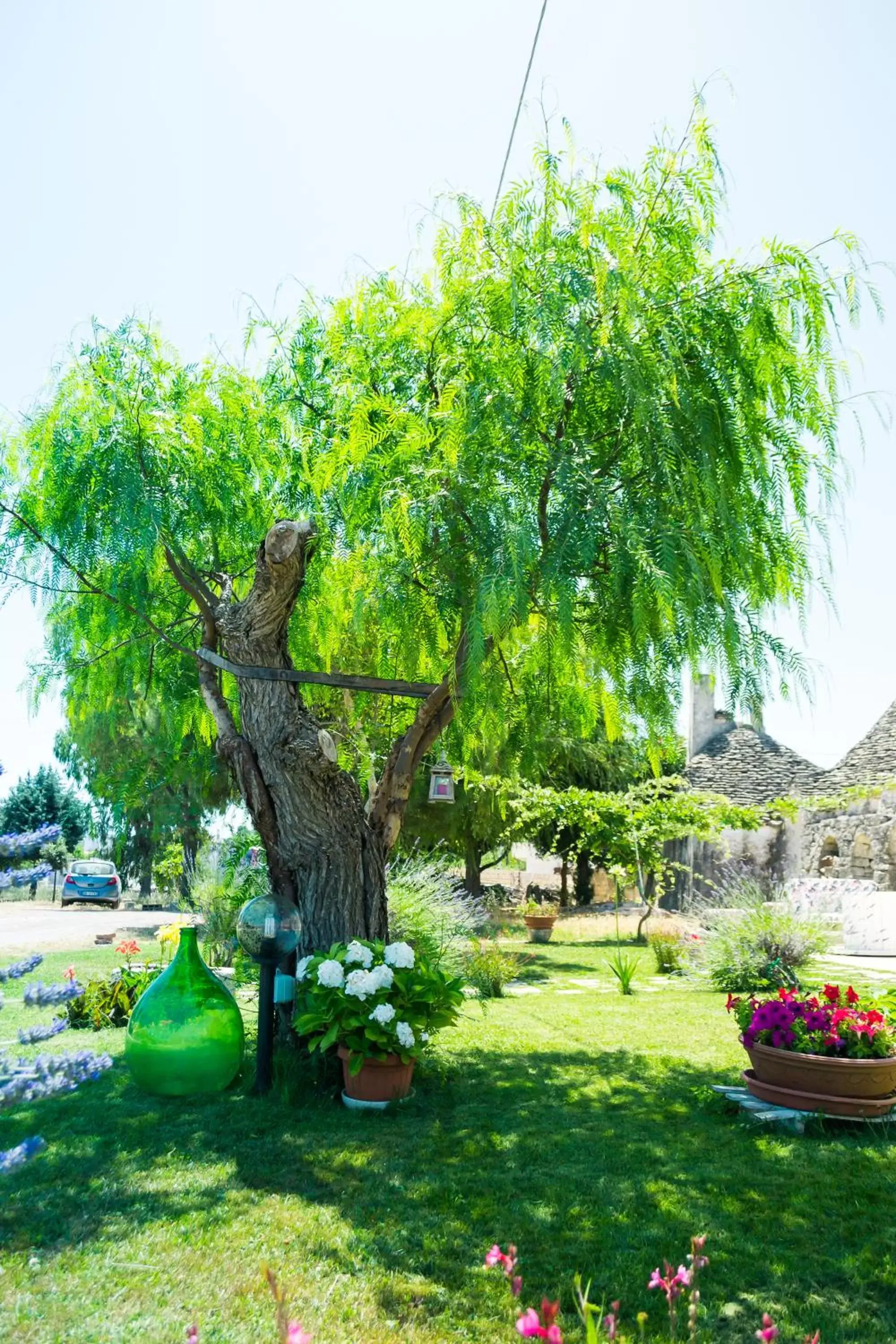 Garden in B&B Trulli Donna Isabella