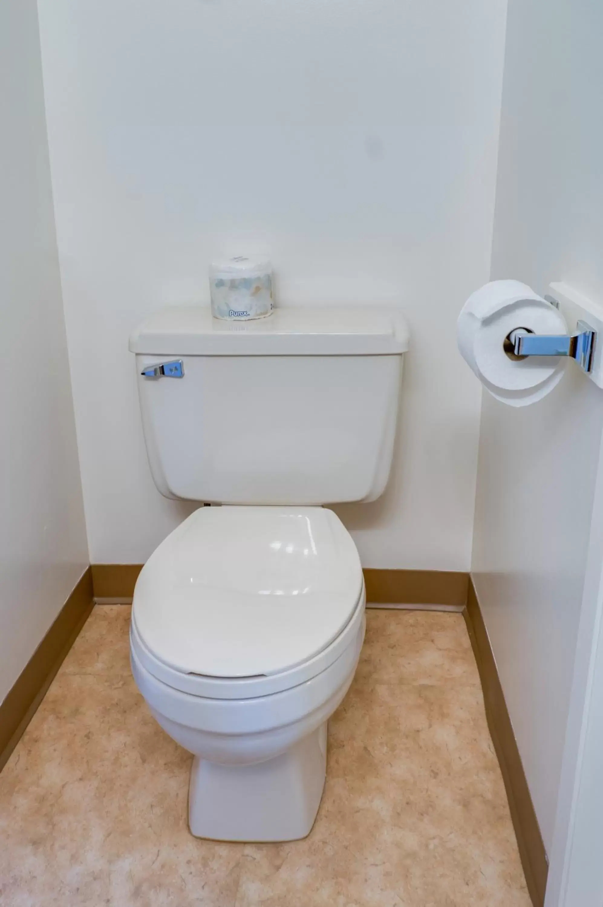 Toilet, Bathroom in Rocky Mountain Ski Lodge