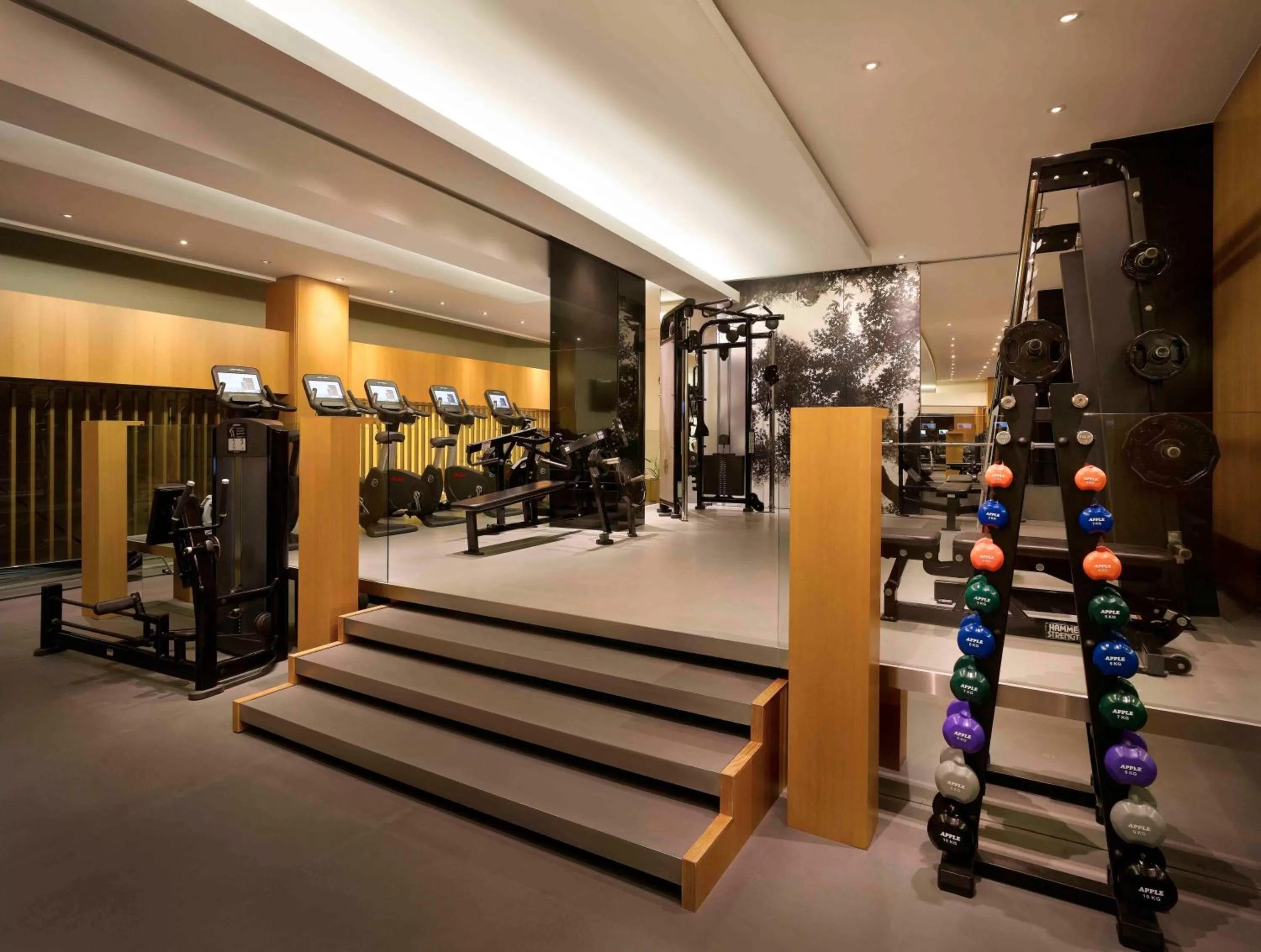 Fitness centre/facilities in Grand Hyatt Seoul