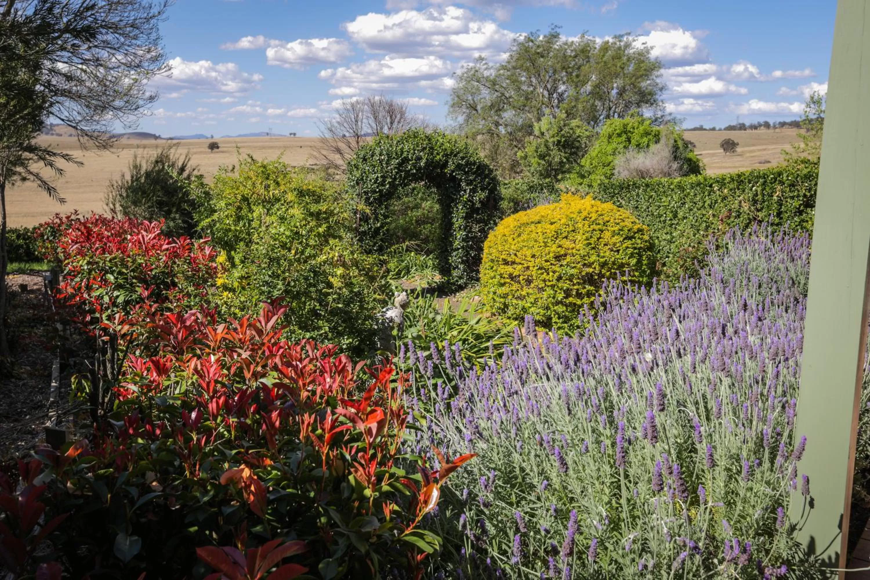 Balcony/Terrace in Strathearn Park Lodge
