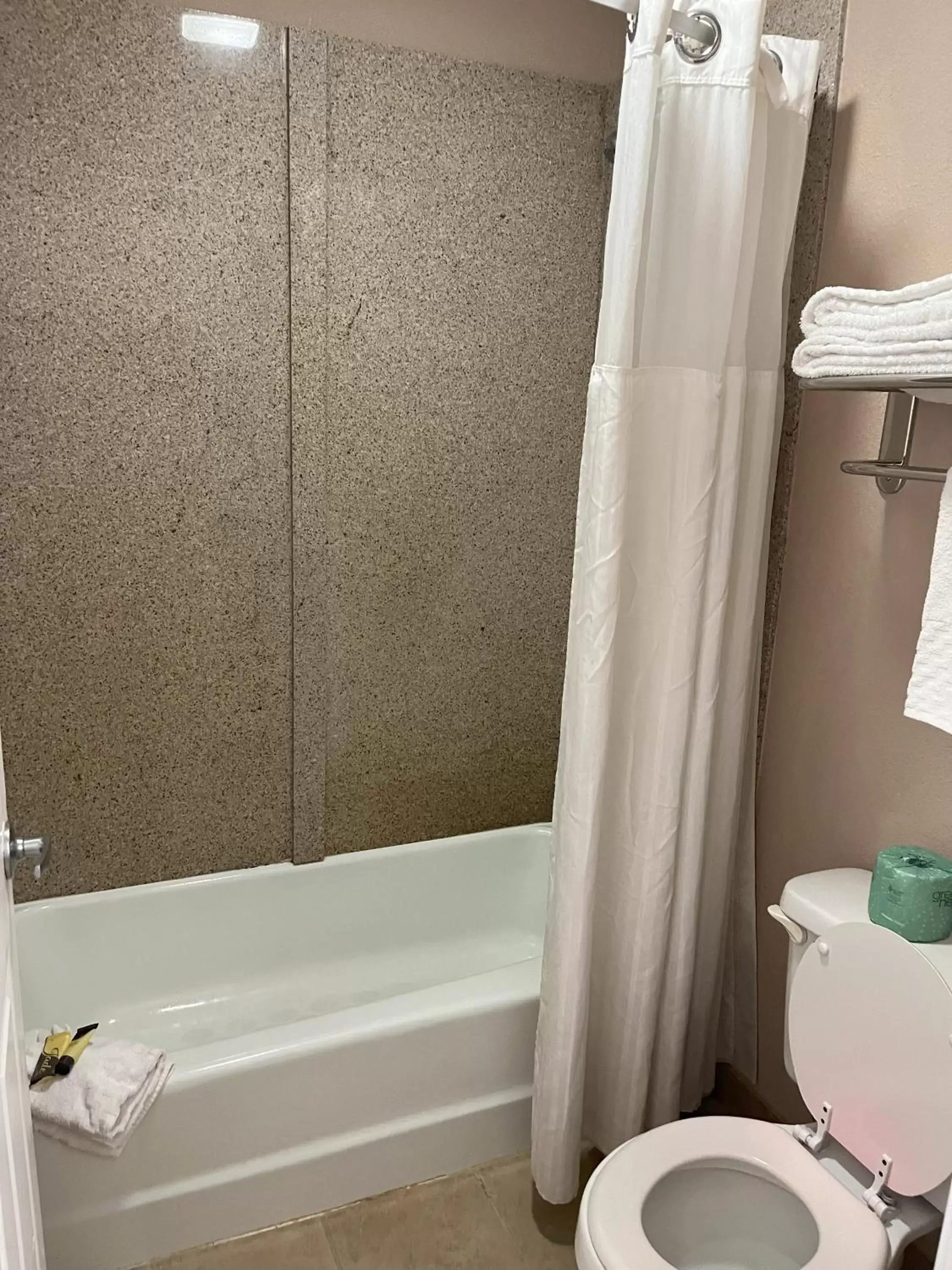Shower, Bathroom in Pinetree Inn