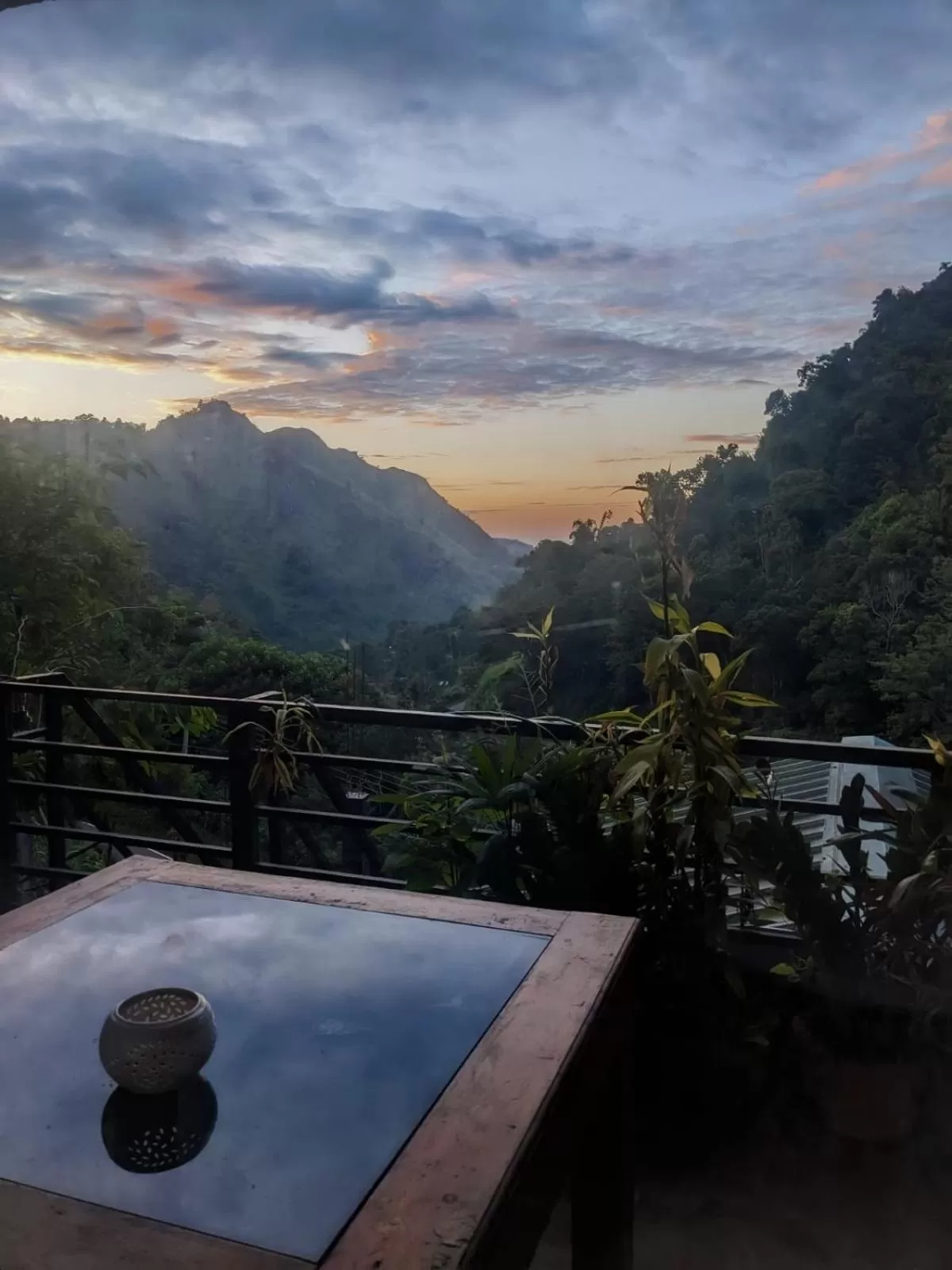 Ella Lucky Panoramic