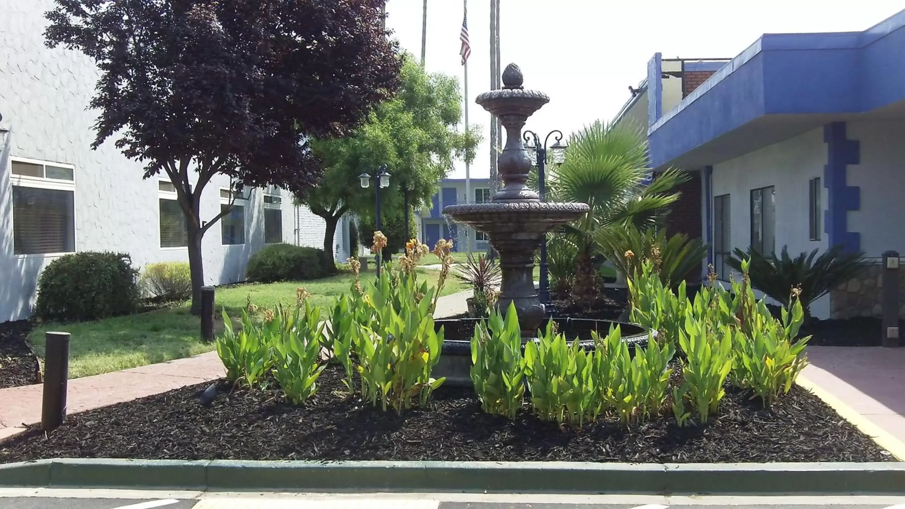 Property building in SureStay Plus Hotel by Best Western Sacramento Cal Expo Property building in SureStay Plus Hotel by Best Western Sacramento Cal Expo