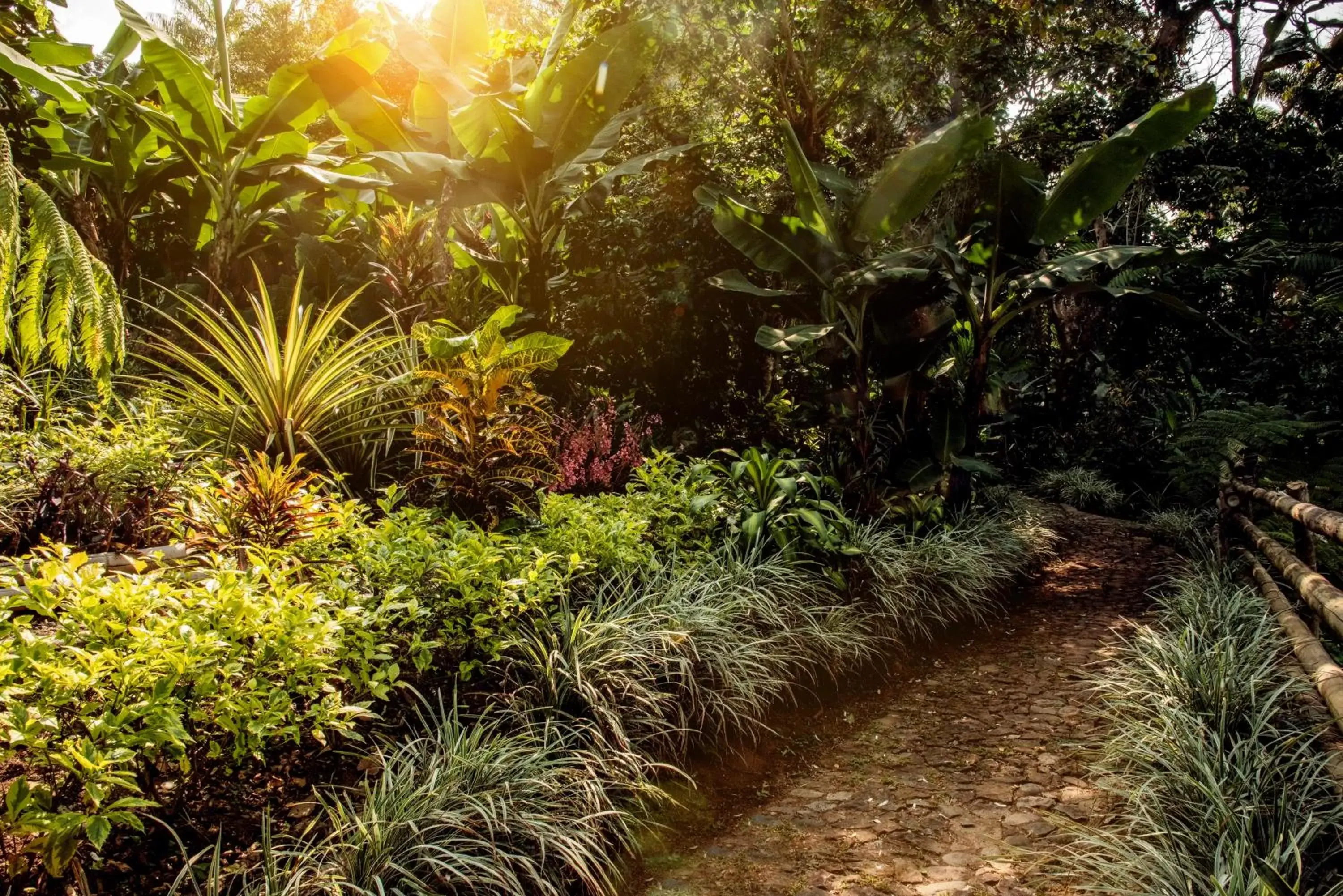 Spring, Garden in Argovia Finca Resort