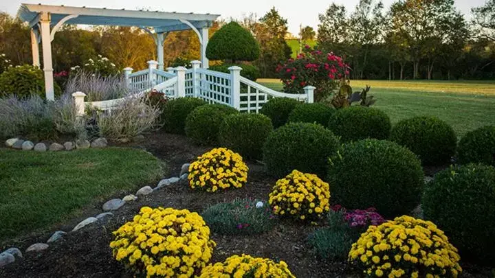 Garden in Rabbit Creek Bed & Breakfast