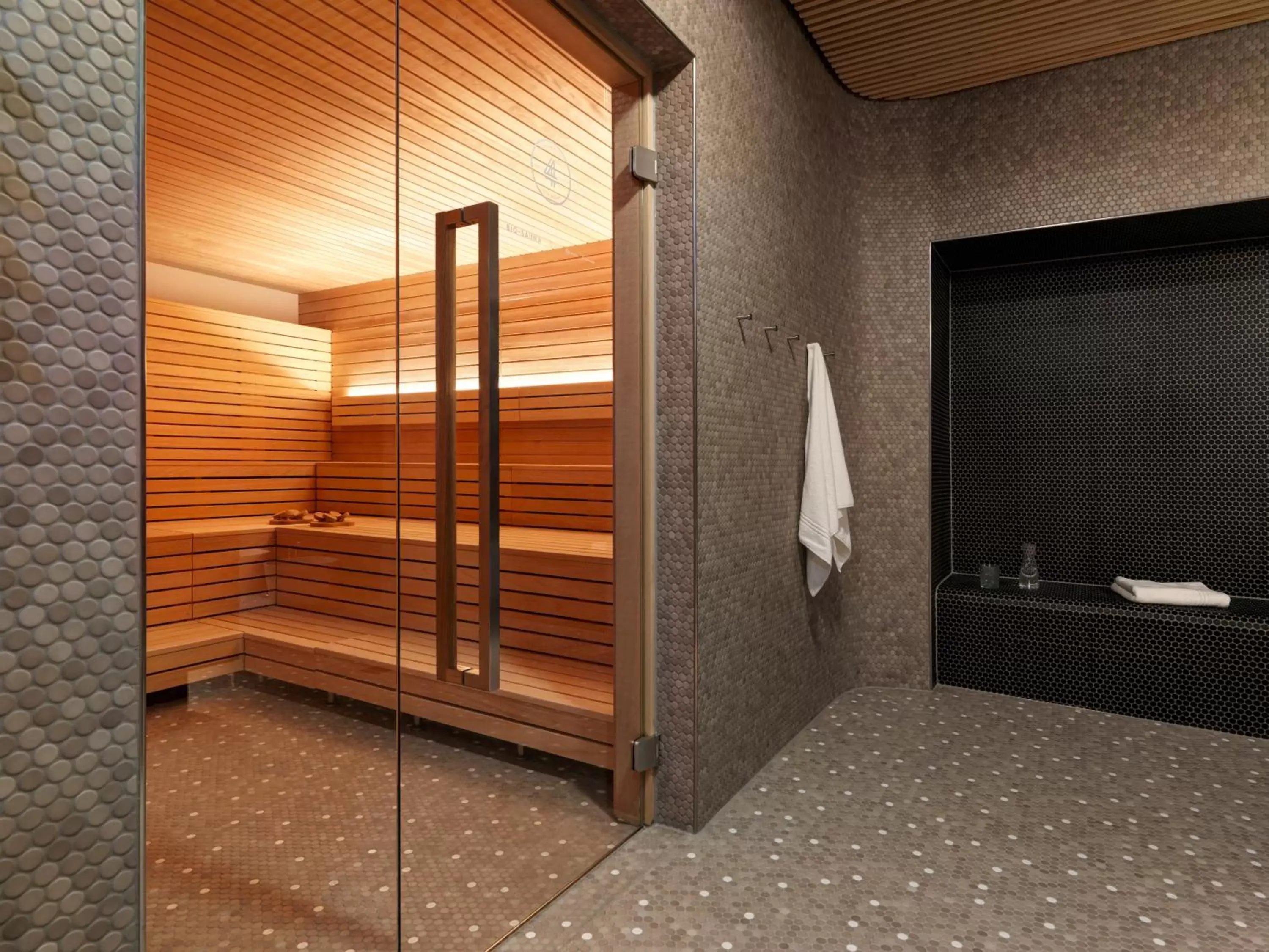 Sauna, Bathroom in lintharena ag