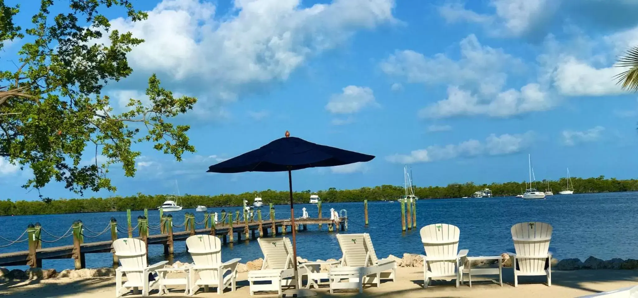 Beach in Coconut Palm Inn