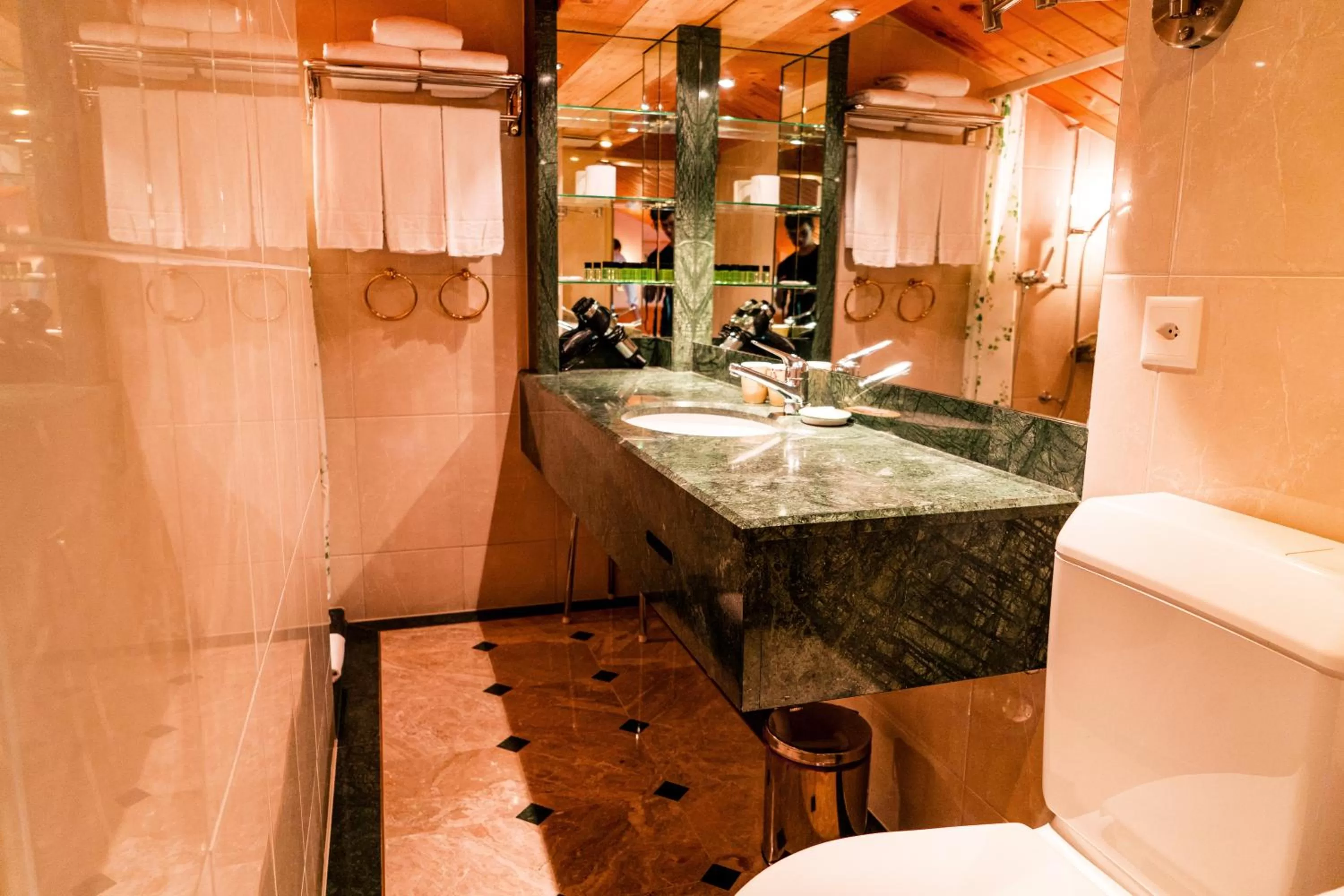 Toilet in Hostel Flims