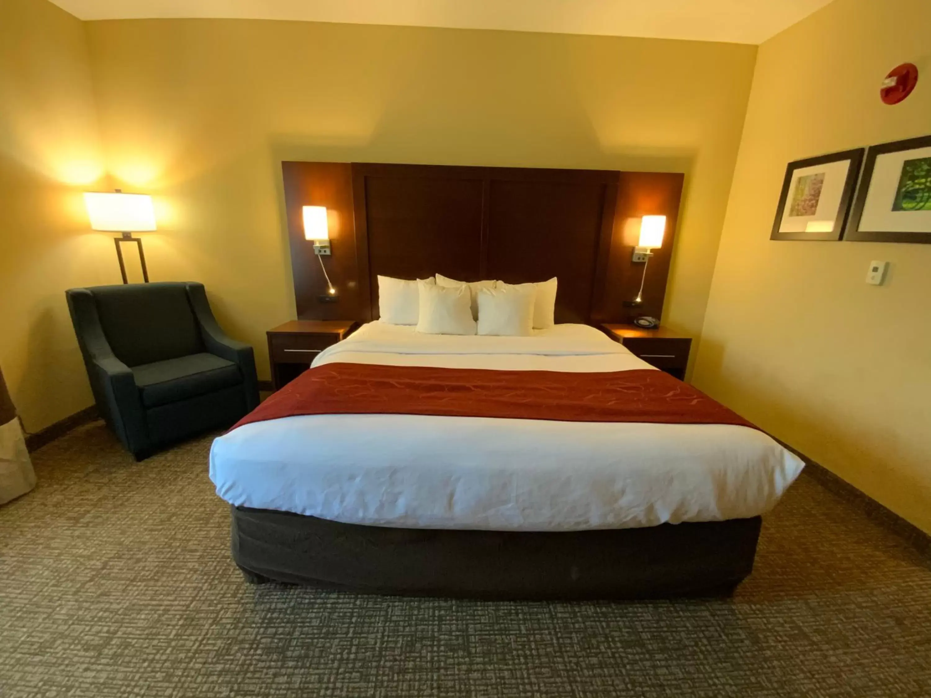 Bedroom, Bed in Comfort Suites Fredericksburg North